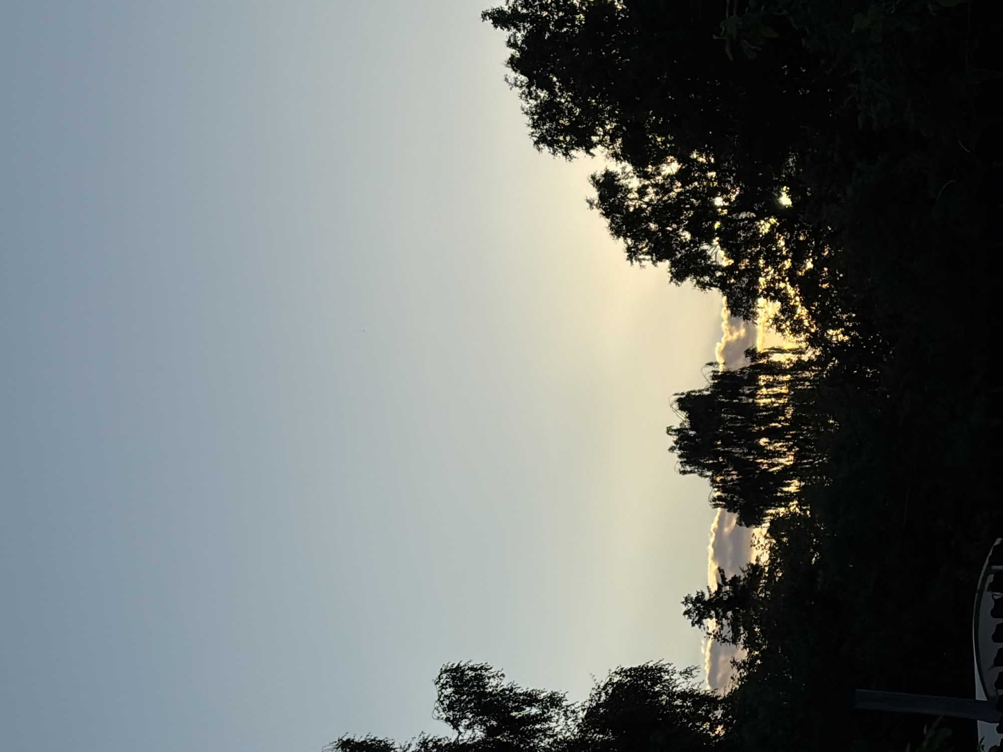 This image depicts a silhouetted view of trees against a sky at sunset. The sky transitions from a pale blue on the left to a warm, golden hue on the right, indicating the sun is low on the horizon. Wispy clouds are visible in the distance, catching the last rays of sunlight. The trees are dark and their branches and leaves create an intricate silhouette against the colorful sky. Some of the foliage is backlit by the sun, revealing its texture. The overall mood is serene and peaceful, evoking the end of a day. The image is shot in a vertical orientation. There is no visible text or any discernible people or objects apart from the natural elements of trees and sky. The scene appears to be outdoors, likely in a natural or semi-natural setting where trees are present.