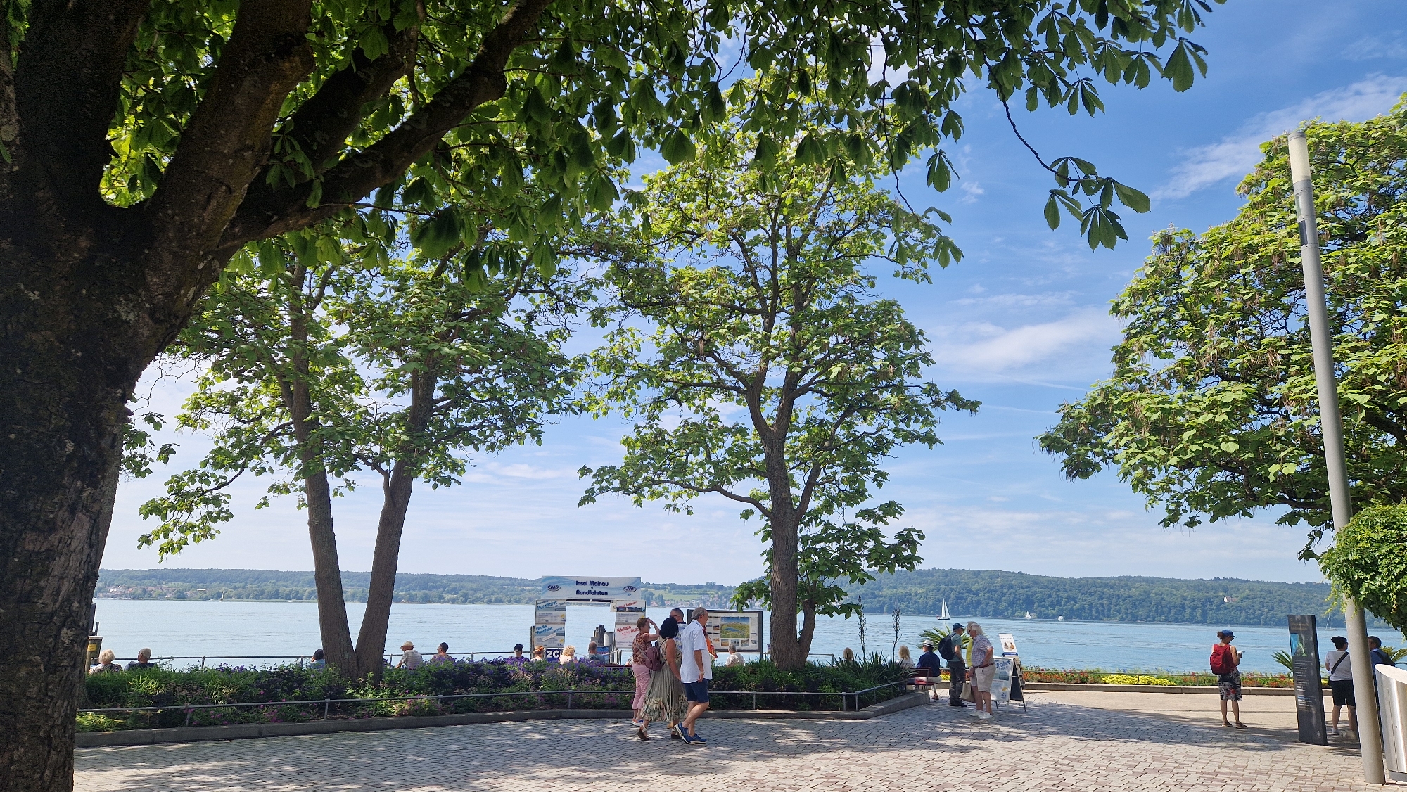 This image depicts a sunny day scene along the shore of Lake Constance in Überlingen, Germany. In the foreground, a paved walkway is visible, with several trees providing shade. Beyond the walkway, a body of water stretches across the middle ground, with a tree-lined shore visible in the distance. A few people are seen walking and sitting along the waterfront. In the background, a line of trees forms the distant shoreline. The sky is blue with scattered clouds. The image appears to be taken from a slightly elevated position, looking out towards the lake.