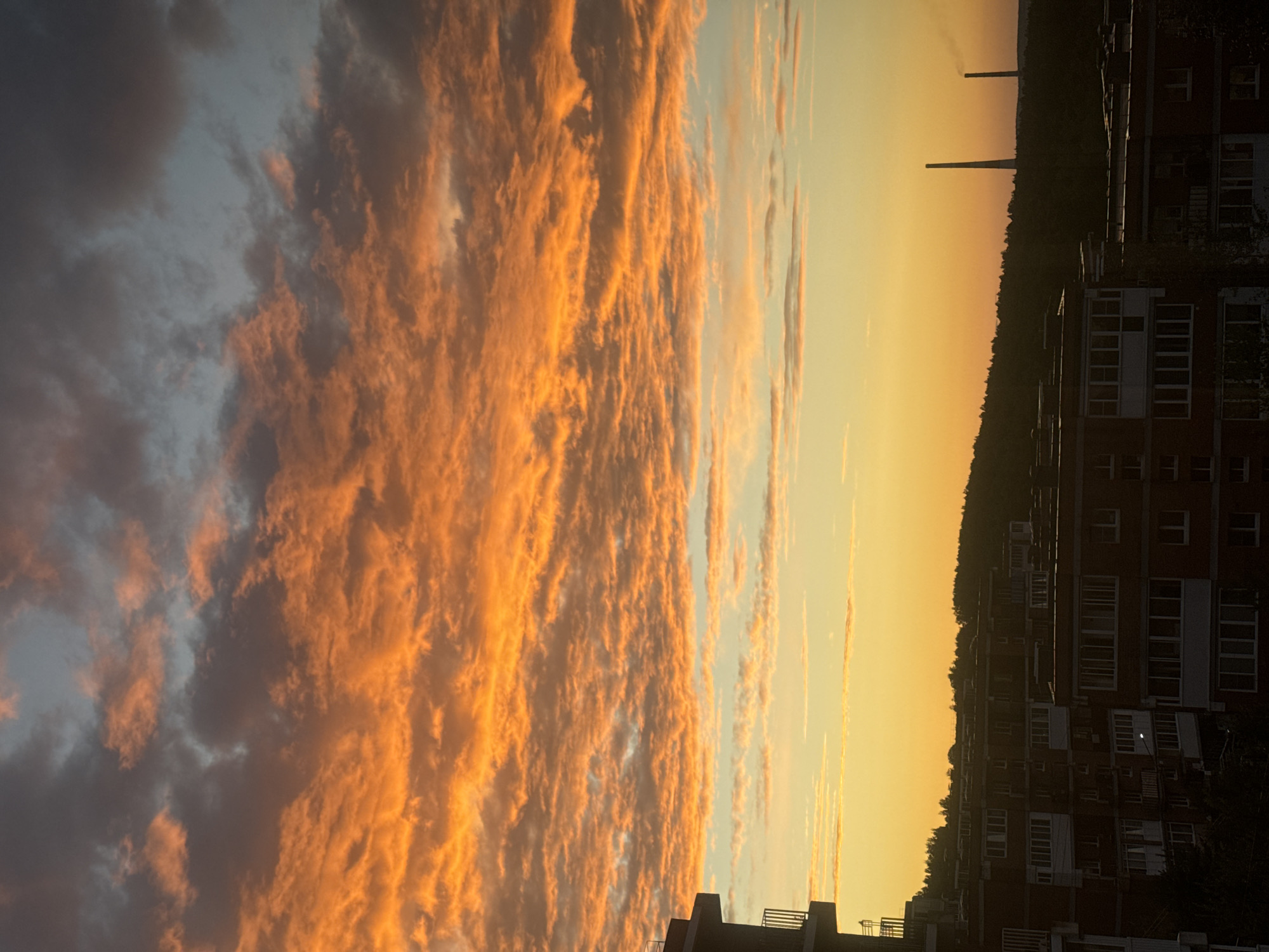A vertical, full shot captures a vibrant sunset over a city skyline in Markov, Russia. The sky is dominated by dramatic, fiery orange clouds in the upper half, transitioning to a soft yellow gradient near the horizon. Below the sky, a silhouetted line of trees forms the horizon, interspersed with two tall, industrial chimneys on the right side, one emitting a thin plume of smoke. In the foreground, the dark silhouettes of multi-story apartment buildings with numerous windows are visible, creating a stark contrast against the illuminated sky. A portion of a building's facade, featuring balconies, is on the far left, partially obscuring the view. The lighting suggests it is late evening.