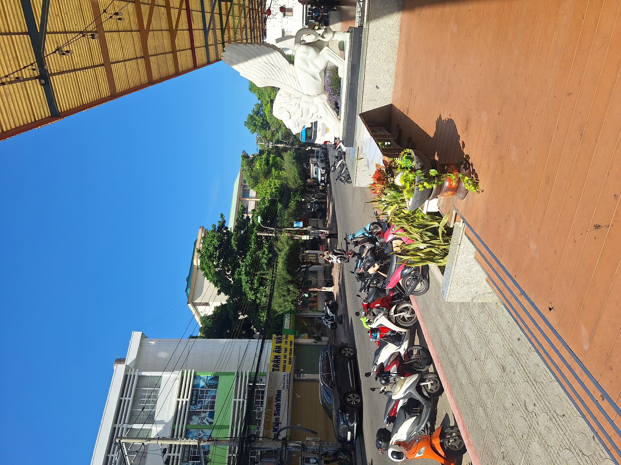 This media file is a tilted, eye-level shot of a street scene in Nha Trang, Vietnam, under a bright, clear blue sky, suggesting it's a sunny day, likely mid-morning or afternoon due to the long shadows cast. The foreground is dominated by a section of an orange wooden-planked walkway, with planters containing lush green foliage and colorful flowers lining its edge. Beyond this walkway, a row of parked motorcycles, primarily scooters of various colors like red, white, black, and orange, are lined up along the sidewalk.
Further back, a white sculpture of a winged lion or griffin stands prominently on a pedestal, a focal point against the backdrop of trees and buildings. Across the street, a multi-story building with a green and white facade is visible. A section of this building has green panels with visible text, including Vietnamese characters and what appears to be a phone number: "030 5227 737." Other signs also display Vietnamese text. A dark colored car is parked on the street, and in the distance, more trees and buildings can be seen, along with a glimpse of a yellow-canopied structure, possibly a market stall or awning. The scene depicts a typical urban street in a tropical climate, bustling with parked vehicles and architectural elements.
--- OCR Start ---
Kiện Sinh Viên
TRÂM ĂN VẶT
Chuyên sỉ là CHÂN GÀ SỐT THÁI - TRẺ TRỘI ANGO
030 5227 737
BÁNH TRÁNG TRỘN
--- OCR End ---