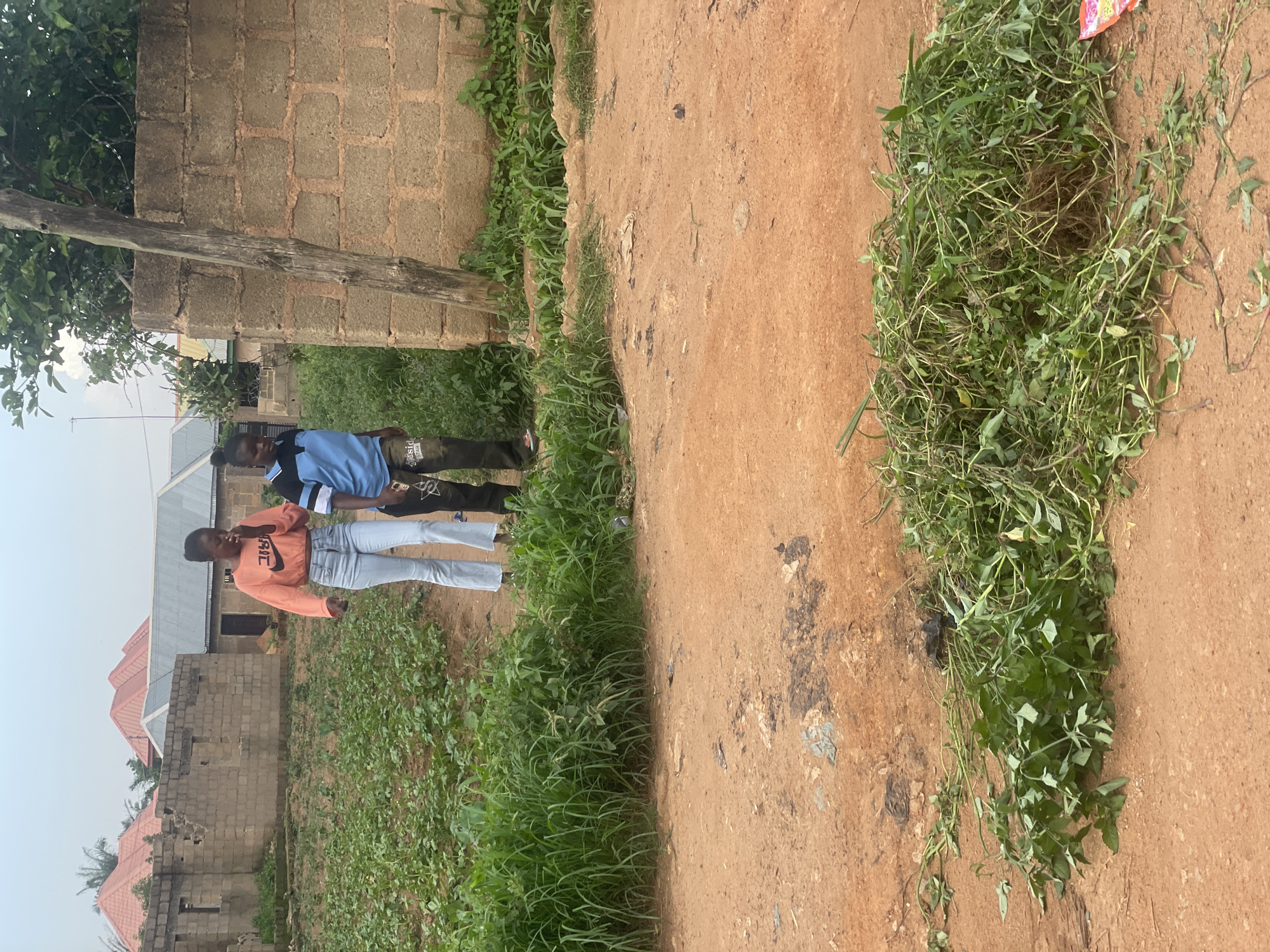 In Bukuru, Nigeria, a rural or semi-rural setting is depicted, with buildings constructed from concrete blocks and corrugated metal roofing visible. The ground is predominantly a reddish-brown dirt, with patches of green grass and vegetation. A pile of freshly cut green plants lies on the dirt path.
The scene features three individuals. Two of them, appearing to be young men, are standing together on the left side of the frame, closer to a brick wall and a tree. One wears a blue shirt and dark pants, while the other wears a black shirt with some white detailing and dark pants. A third individual, a young woman, is in the foreground on the left, wearing an orange long-sleeved shirt with "NIKE" written in black lettering, paired with light blue jeans. She is looking towards the right and has her right hand near her face.
The lighting suggests it is daytime, likely late morning or afternoon, with diffused light indicating an overcast or hazy sky. The overall atmosphere appears casual and ordinary, with no specific event being captured beyond people being present in this outdoor environment.