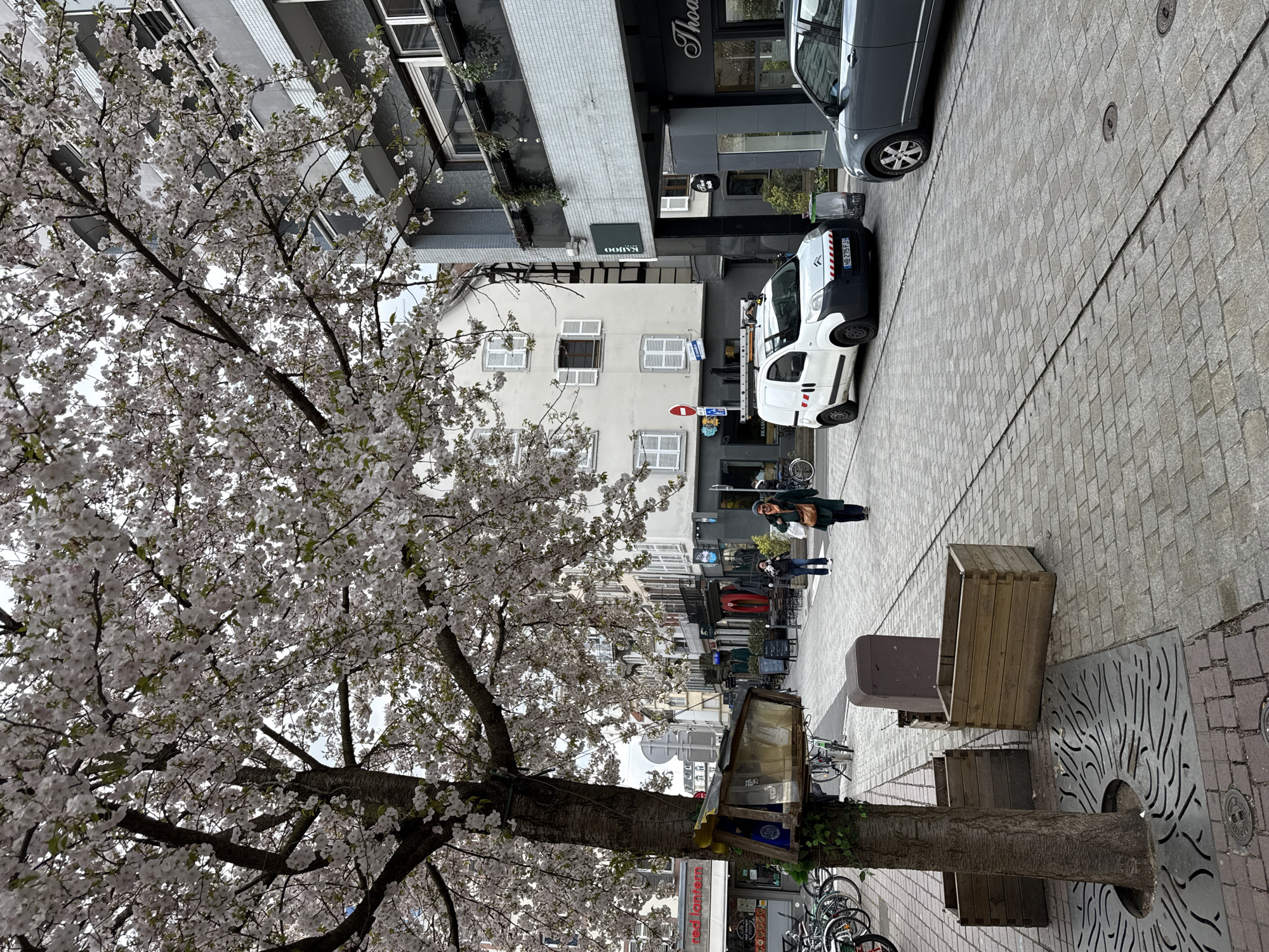 This image depicts Rue du Faubourg de Saverne in Strasbourg, France, on an overcast spring day. A large cherry tree, densely covered in white blossoms, occupies the left foreground. Affixed to its trunk is a rustic wooden structure with a transparent front panel, resembling a feeder. Below it are two empty wooden planter boxes and a decorative metal tree grate. A row of bicycles is parked along the left sidewalk, adjacent to a storefront with a red awning displaying "Red Lantern." The street itself is paved with light grey interlocking pavers.
A white Citroën van (license plate HB-275-FJ) with a ladder secured to its roof rack is parked on the left side of the street, facing away from the viewer. Behind the van, a red circular no-entry sign is visible. A dark grey compact car is parked on the right side of the street. A woman, wearing a dark green coat and carrying a brown shoulder bag, walks towards the viewer on the right-hand sidewalk.
Buildings line both sides of the street in the midground and background. On the right, establishments include "Thoa Nails" and "Kahoo," the latter featuring a modern grey facade with balconies and potted plants. On the left, further down, a "Brasserie" sign is visible among other storefronts. The architecture combines older buildings with white walls and shuttered windows alongside more contemporary structures. The sky overhead is uniformly overcast.