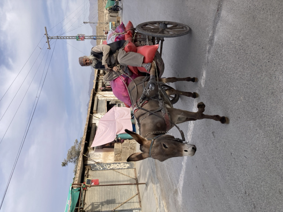 The image depicts an outdoor street scene in Quetta City Tehsil, Pakistan, featuring an elderly man operating a donkey-drawn cart. The man, with a long white beard and mustache, wears a light-colored tunic and trousers (shalwar kameez) with a dark sleeveless vest, and sandals. He is seated on a wooden, two-wheeled cart loaded with multiple large, predominantly pink and red sacks. A brown donkey, fitted with a bridle and harness, pulls the cart; its head is lowered, and its front left leg is elevated, indicating motion.
The street is paved. In the background on the left, a row of single-story commercial buildings with closed metal roll-down shutters is visible. One building features a green fabric awning and a small red flag or banner. A light pink fabric sheet hangs in front of another structure. Faint Arabic script is present on one building's facade. Utility poles and overhead electrical lines traverse the frame against a partially cloudy, light blue sky. Distant mountains are visible on the horizon to the right, along with a concrete wall and a faint motorcycle in the far distance.