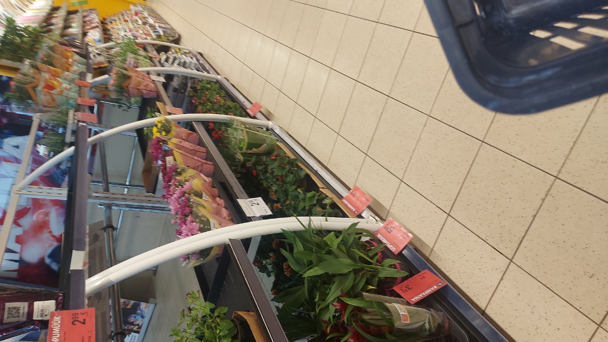 The image depicts a grocery store aisle featuring a display of potted plants and flowers. On the top shelf, there are various plants in plastic packaging, some with pink and yellow flowers. Below this, a variety of smaller potted plants are arranged, some with red and orange blooms. In the foreground, larger leafy plants are visible. Price tags are affixed to the shelves and some plants, indicating prices in Euros. The flooring is tiled with a light beige color and dark grout lines. A dark blue shopping basket is partially visible in the lower right corner, suggesting a shopper is present. The overall environment appears to be a well-lit retail space. The text on the price tags is in a language that appears to be Finnish or Estonian, with words like "TOPUMÜÜK" and "KAMPANIA" visible. Without further information or context, it is impossible to definitively determine the specific location within Tallinn, Estonia, beyond it being a retail establishment likely selling plants and flowers.