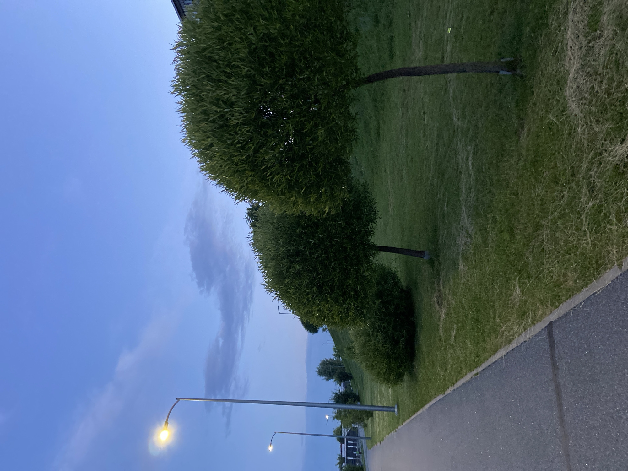 The image depicts a paved walkway bordering a grassy slope lined with meticulously pruned trees. Two prominent, spherical trees stand on the right side of the image, with another smaller, rounded bush-like tree positioned to their left. In the background, several tall, slender lampposts illuminate the scene, with one in the foreground casting a bright yellow glow. The sky above is a twilight blue, transitioning from a lighter shade near the horizon to a deeper hue at the top, with faint clouds scattered across it. In the far background, a building with visible windows can be seen on the right. The overall atmosphere is serene, characteristic of an urban park or landscaped area at dusk. The location is specified as Votkinsk, Russia. There are no people or animals visible in the image.