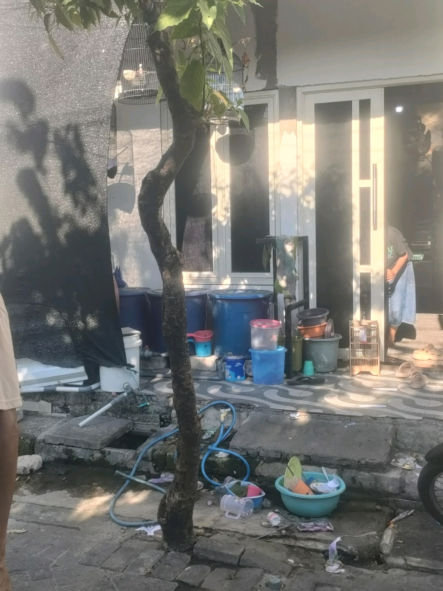 A residential backyard scene in Surabaya, Indonesia, features a narrow tree with a twisted trunk in the foreground, casting shadows onto a paved ground and a nearby house. The house has a white-framed door with vertical glass panels and white siding. To the left of the door, several large blue plastic barrels are stacked, with a black mesh screen partially covering them. In front of the barrels, a white bucket with pipes connected is visible. Scattered around the area are various objects including a birdcage, buckets of different sizes and colors, plastic containers, and cleaning supplies. A person, partially obscured by the doorway, is seen wearing a light blue skirt or sarong and a dark t-shirt, standing inside the house. The ground is a mixture of concrete paving stones and dirt. A motorcycle is partially visible on the far right. The scene appears cluttered and somewhat unkempt, with evidence of outdoor activities or storage.