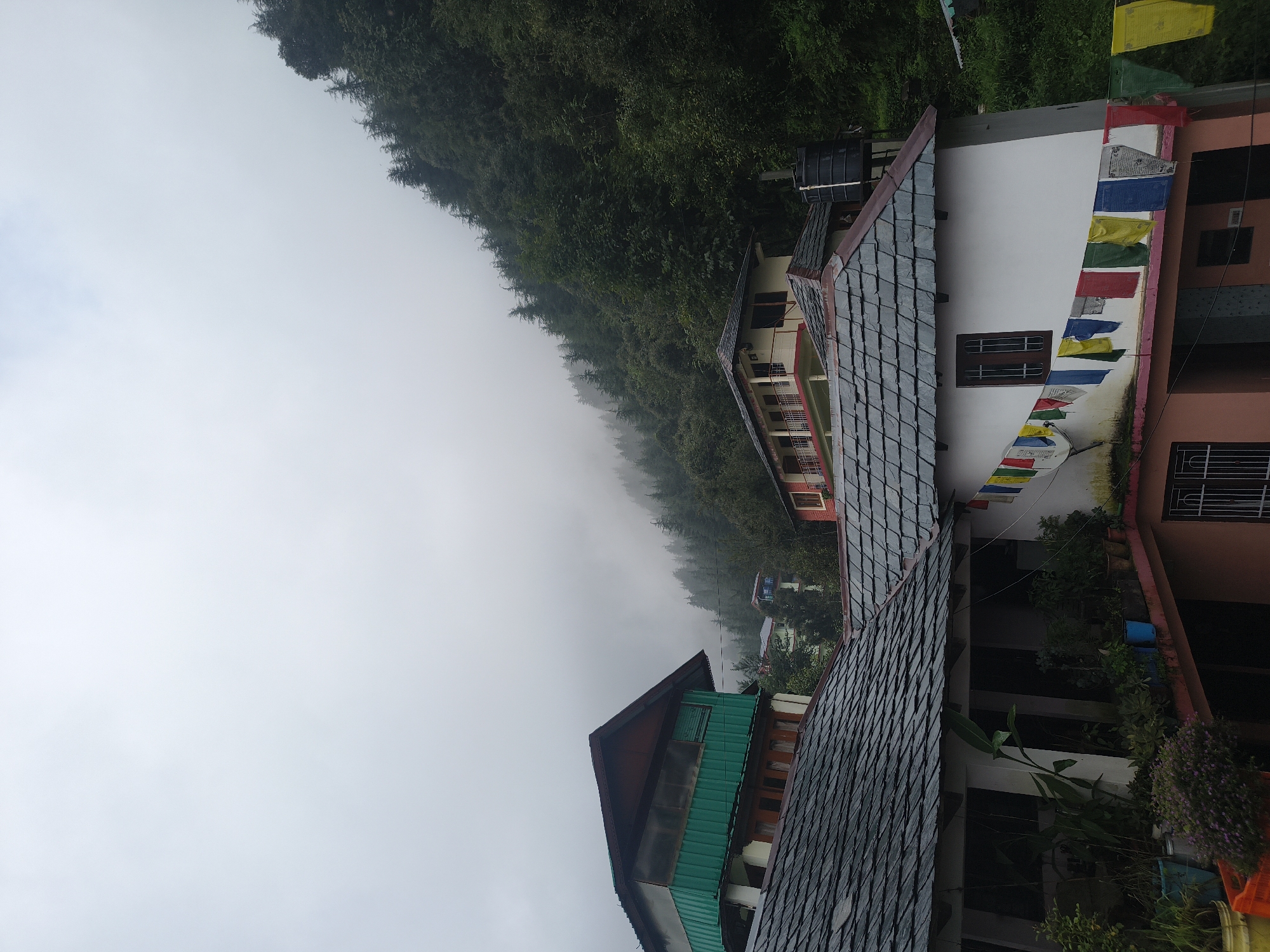 The image captures a cloudy day in Haini, India, with a focus on traditional architecture nestled into a forested hillside. The foreground is dominated by the dark, sloped roofs of several houses, layered with what appears to be slate tiles. One house in the foreground has a white facade adorned with prayer flags in various colors—red, yellow, blue, green, and white—strung across its upper story. Below this, a patio area is visible, filled with potted plants, some lush green and others appearing more sparse.
Behind the immediate foreground, other buildings with similar architectural styles are visible. One building features a vibrant turquoise lower level with wooden accents, topped by a sloped roof. Further in the background, more houses are scattered amidst dense green foliage. The hillside behind the houses is covered in a thick forest of coniferous trees, with mist or clouds partially obscuring the upper reaches of the trees and the sky, creating a soft, diffused light. A black water tank is mounted on a stand next to one of the houses. The overall scene conveys a sense of a tranquil, possibly damp, mountain village.