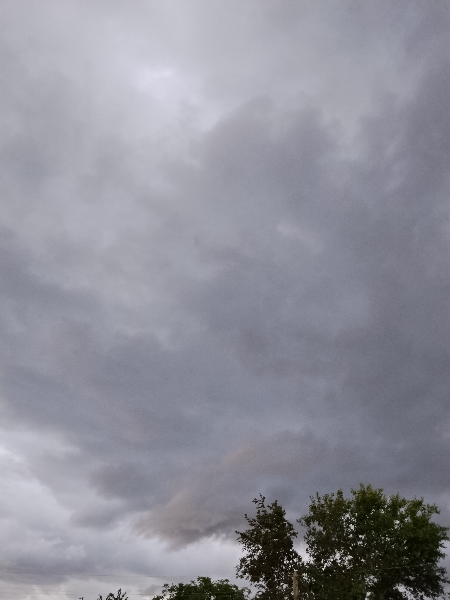 The image shows a sky with heavy, gray clouds, indicating overcast weather. A sliver of lighter sky is visible in the upper portion. The lower edge of the frame features the tops of two trees with green foliage, likely located in the city of Ustyvytsia, Ukraine, given the context. The scene is devoid of people or any discernible activity, presenting a static and atmospheric natural environment.