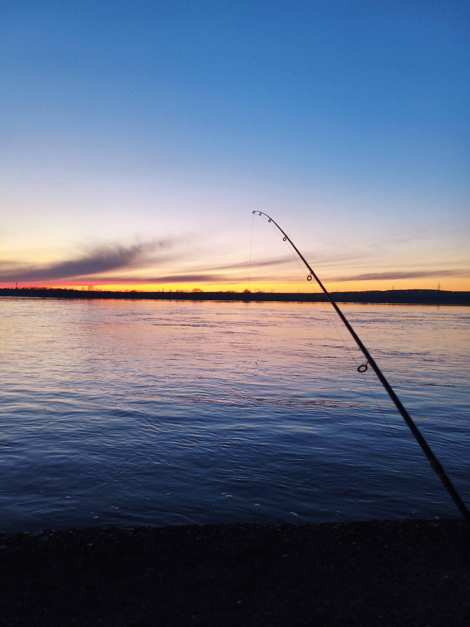 The image depicts a fishing scene at sunset in or near Chaikovsky, Russia. A fishing rod is prominently positioned in the foreground, extending from the bottom right towards the upper center of the frame. The rod's line extends downwards towards the water. The water is calm with subtle ripples. In the background, there is a dark silhouette of land with trees and possibly some industrial structures. The sky displays a gradient of colors transitioning from blue at the top to orange and yellow near the horizon. A thin layer of clouds is visible near the sunset point. In the very foreground, at the bottom of the image, there is a dark area that appears to be the shoreline.