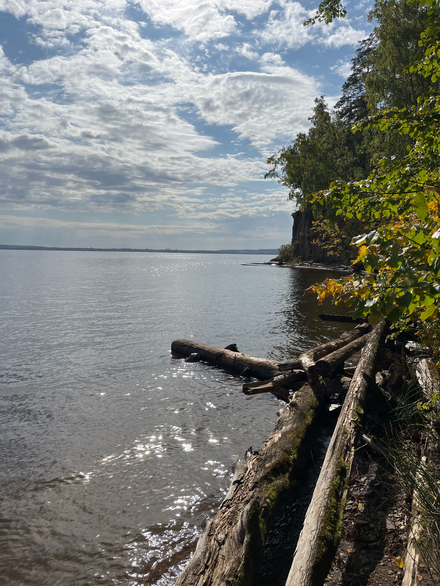 The image captures a natural scene along the bank of the Kama River in Chaikovsky, Russia. The foreground is dominated by several weathered logs that have washed ashore and are partially submerged in the water. These logs exhibit a rough texture and some are covered in moss. The water's surface is choppy, reflecting the sunlight in shimmering patches.
In the mid-ground, the Kama River stretches out, appearing calm and vast, meeting the horizon where a hazy outline of a distant settlement or city is visible. The far bank is a low, indistinct line against the sky.
The background features a steep, rocky cliff face rising from the water's edge, densely covered with a variety of trees. The foliage displays a mix of green and yellow hues, suggesting it might be autumn. The sky is a bright blue, partially obscured by a dramatic formation of white, fluffy clouds that cast shadows across the landscape.
The overall atmosphere is one of serene natural beauty, with the elements of water, earth, and sky creating a picturesque vista.