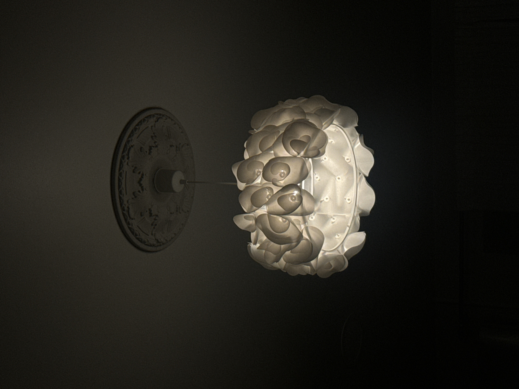 The image displays a brightly illuminated, ornate light fixture set against a dark, shadowy background. The central focus is a globular or spherical lamp shade, meticulously composed of numerous translucent, petal-like or shell-like elements. These elements are layered and curved, creating a textured, organic, and somewhat sculptural appearance. They are white or off-white, and emit a soft, warm light that diffuses through their material.
The light fixture is mounted to a wall or ceiling via a circular, decorative medallion or rosette. This medallion is intricately carved with patterns, possibly floral or scroll-like designs, and is made of a light-colored material, likely plaster. A slender rod or wire extends from the center of the medallion, connecting it to the lamp.
The surrounding environment is enveloped in deep shadow, emphasizing the lamp as the sole and dominant light source. The strong contrast between the luminous fixture and the dark background highlights its intricate design. The scene suggests an indoor setting, likely in a room at night or in very dim ambient light. There are no people, discernible activities, or visible text present in the image.