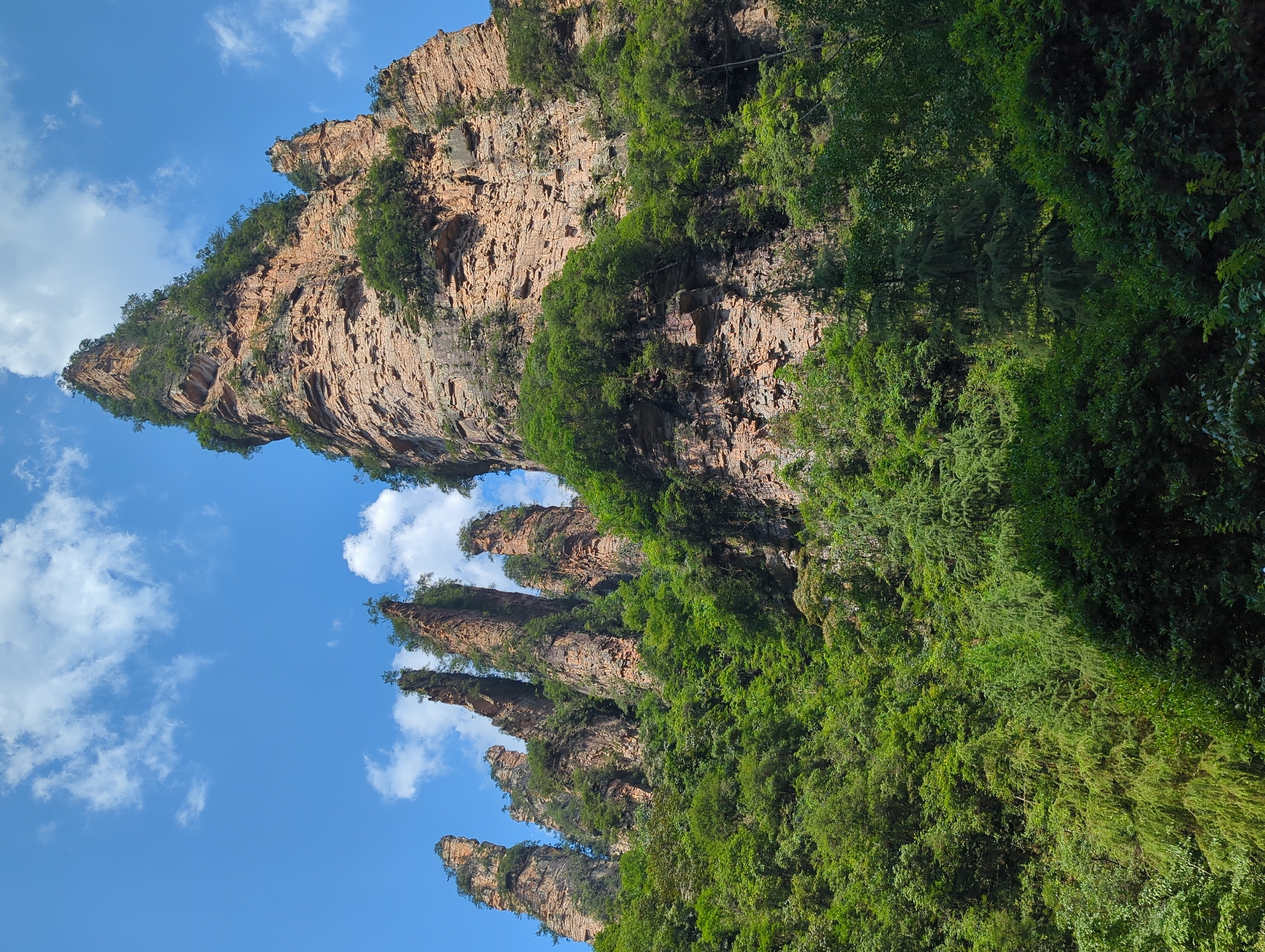 The image shows a dramatic landscape of towering sandstone pillars in Luoguta, China. These natural monoliths, covered in lush green vegetation, rise steeply against a clear blue sky dotted with white clouds. The pillars display distinct layers and textures, indicative of their geological formation. A dense forest blankets the lower slopes, with various shades of green foliage contrasting with the reddish-brown rock. The scene conveys a sense of natural grandeur and untouched wilderness. There are no people or man-made objects visible in the image.