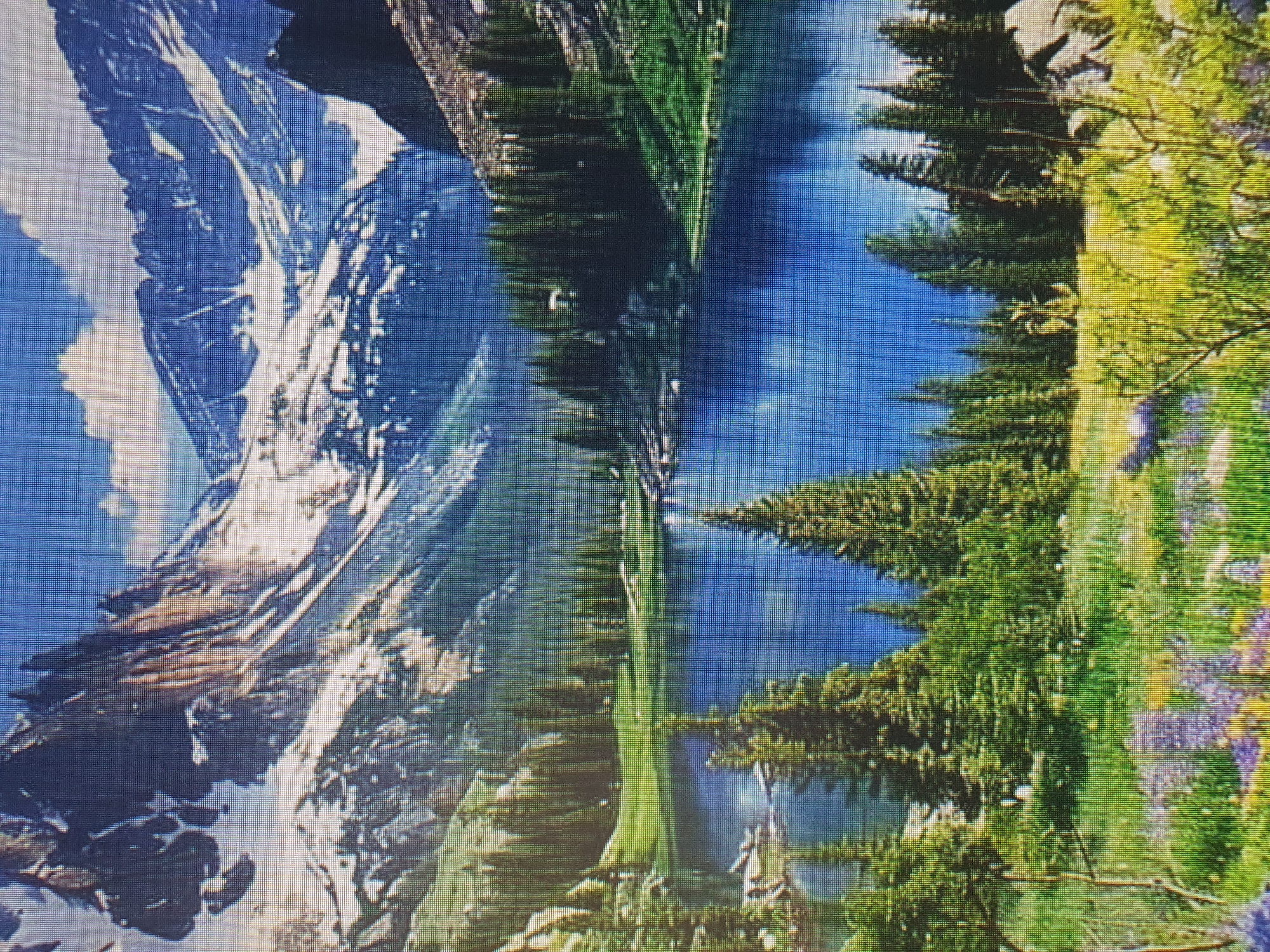 This image depicts a serene alpine lake nestled amidst a lush meadow and surrounded by towering, snow-capped mountains. The foreground is adorned with vibrant wildflowers in shades of purple and yellow, creating a colorful carpet. Coniferous trees dot the landscape, leading the eye towards the tranquil, blue waters of the lake. The majestic mountains, with their rugged peaks and lingering snow, dominate the background, reflecting a clear blue sky. The scene evokes a sense of natural beauty and peaceful isolation. The provided information about Tashkent, Uzbekistan is incongruent with the visual content of the image, which clearly displays a mountainous, alpine environment, not an urban landscape.