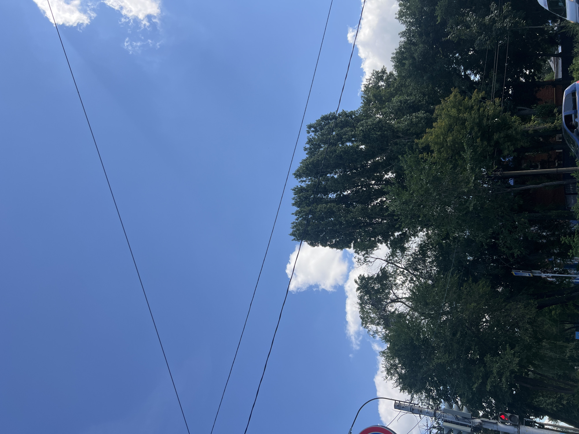 The image captures a bright, clear blue sky with sparse white clouds and several black electrical wires stretched across the frame. In the lower portion of the image, dense green foliage from numerous trees dominates, with some taller, slender trees visible in the center and right. To the left, a traffic light pole with a red light illuminated is present, along with a circular red and white sign. The overall scene suggests an outdoor environment, possibly a street or park area in the city of Ulyanovsk, Russia. No people are clearly visible, and the focus is on the natural elements and infrastructure against the sky.