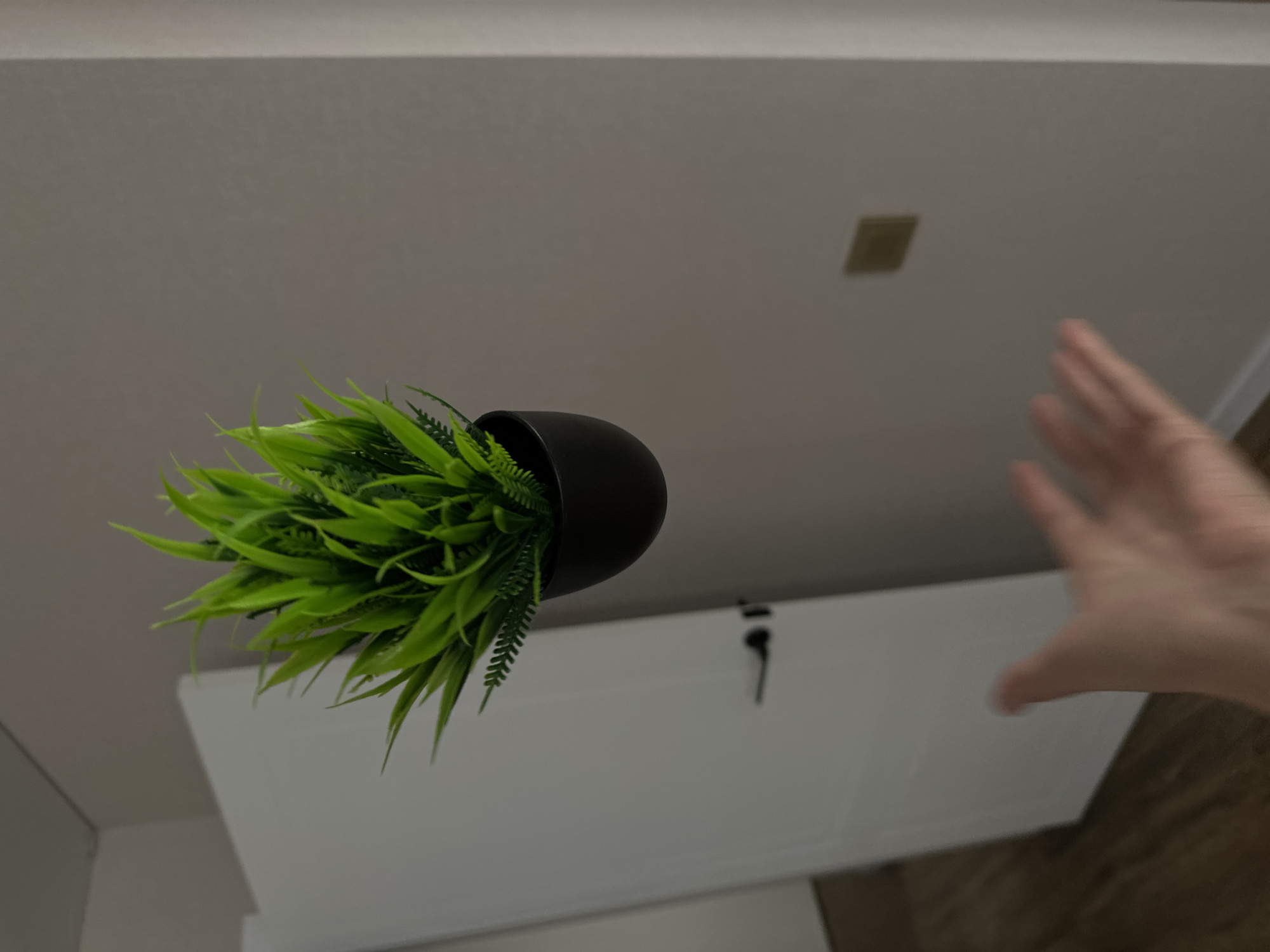 The image shows an indoor scene. A hand reaches towards a potted plant. The plant consists of green foliage in a black pot. A white cabinet with a handle is visible in the background. The location cannot be determined from the image.