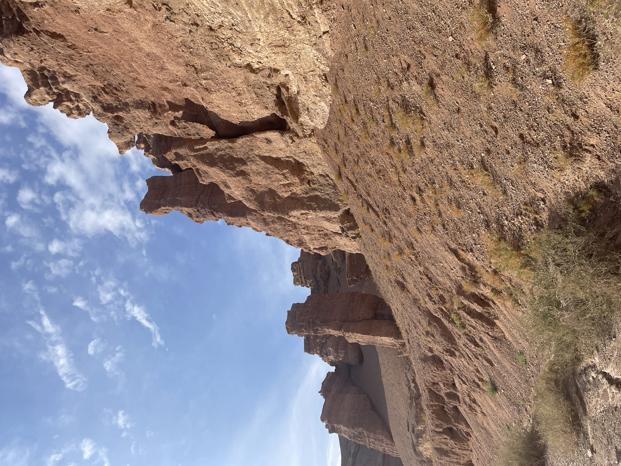 The image shows a view of the Charyn Canyon, located in the Tamerlik region of Kazakhstan. The canyon is characterized by its dramatic red rock formations, which have been eroded by wind and water over millions of years, creating a landscape of towering cliffs, spires, and intricate rock sculptures. The ground in the foreground is covered with reddish-brown soil and small stones, with sparse, dry vegetation clinging to the slopes. In the background, the sky is a clear blue with scattered white clouds. The overall scene depicts a rugged and arid natural environment. There are no people or animals visible in the image.