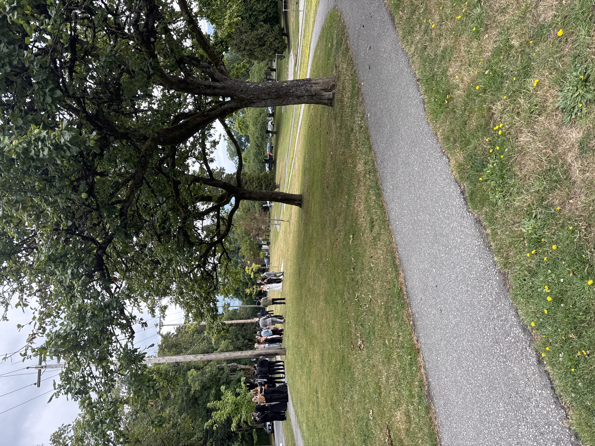 The image depicts a scene in a park in Vancouver, Canada. In the foreground, a paved pathway curves through a grassy area dotted with yellow wildflowers. Several large trees with lush green foliage are scattered throughout the park, with one prominently featured in the right foreground.
In the middle ground, a group of people are gathered on the grass. Many of them are dressed in formal attire, including black gowns and suits, suggesting a special occasion such as a wedding or formal event. Some individuals appear to be engaged in conversation, while others are standing and observing.
In the background, there are more trees, some residential buildings, and a street with parked cars. Utility poles and overhead wires are also visible, indicating the presence of infrastructure within the park's vicinity. The sky is overcast, contributing to the soft, diffused lighting of the scene. The overall atmosphere is calm and relaxed, with a sense of community and togetherness among the people gathered.