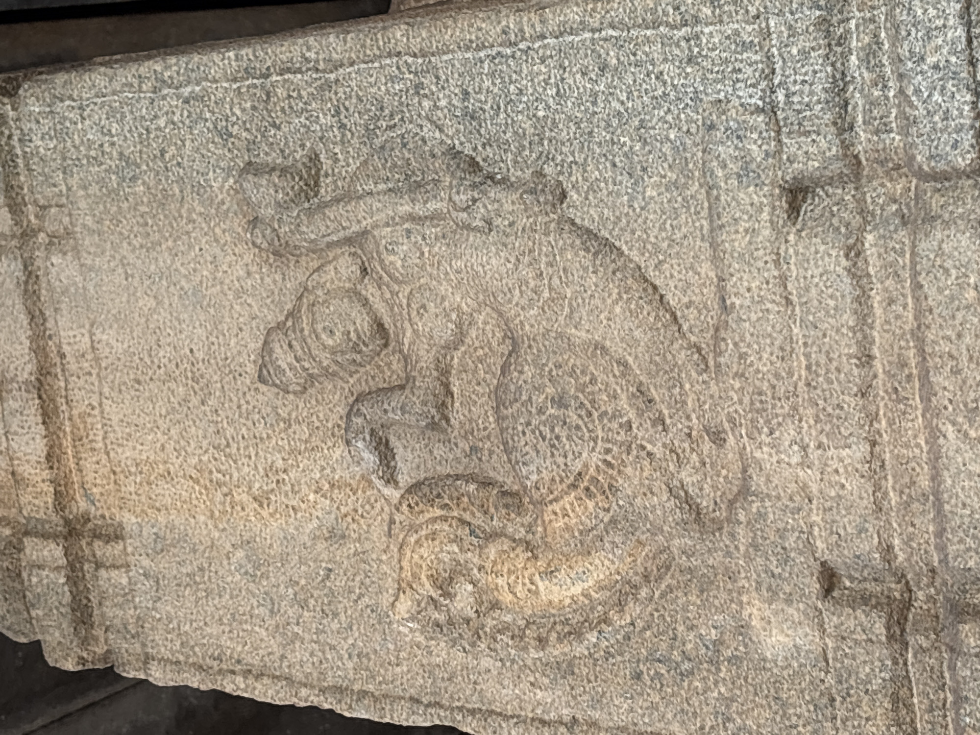 This is a close-up image of a stone relief carving on a gray stone block. The carving depicts a mythical creature with an elephant-like head and a serpent body. The creature is depicted in a dynamic pose with its body curled. The details of the carving are weathered and worn, but the overall form is still discernible. The stone block is part of a larger architectural structure. The image was captured in Hampi, India.