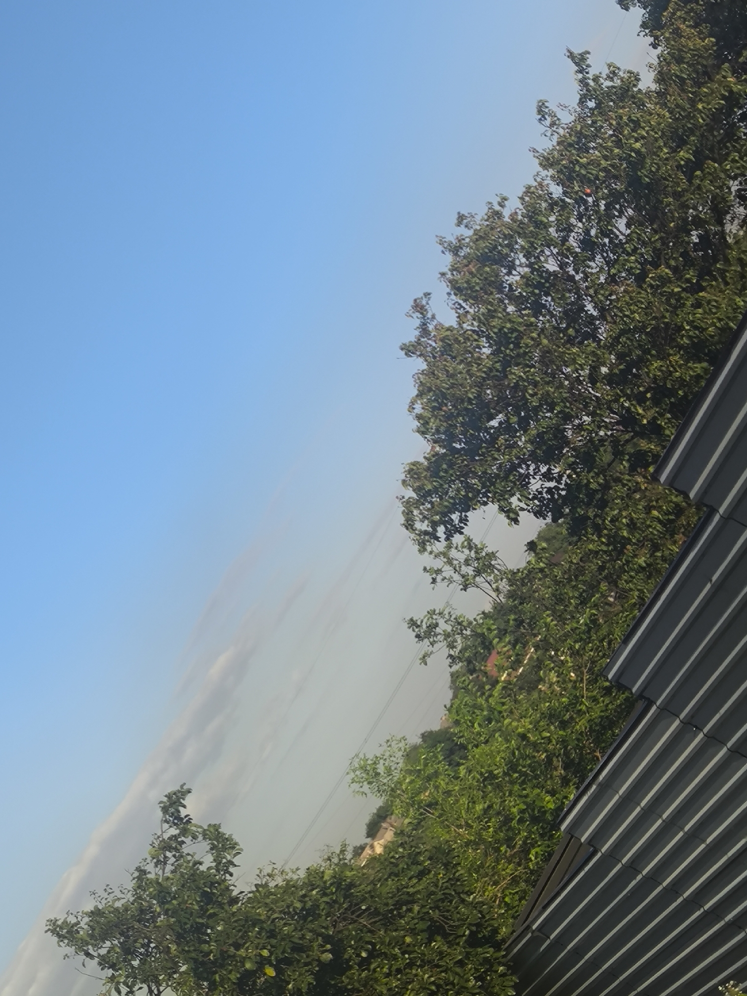 The image is an outdoor, slightly tilted, daytime photograph with a clear blue sky occupying the upper left portion. A band of hazy clouds extends diagonally across the sky from the mid-left to the mid-right. Lush green trees with dense foliage dominate the right and bottom portions of the frame. A dark gray, sloped roof with distinct horizontal white stripes runs along the bottom right edge of the image, suggesting the presence of a building. Power lines are visible in the background, stretching horizontally across the upper right quadrant. In the distance, behind the trees, a hint of urban structures can be seen, indicating a developed area within a city. The lighting suggests a sunny day, possibly late morning or early afternoon, with shadows cast by the trees. The overall scene depicts a blend of natural elements and urban infrastructure.