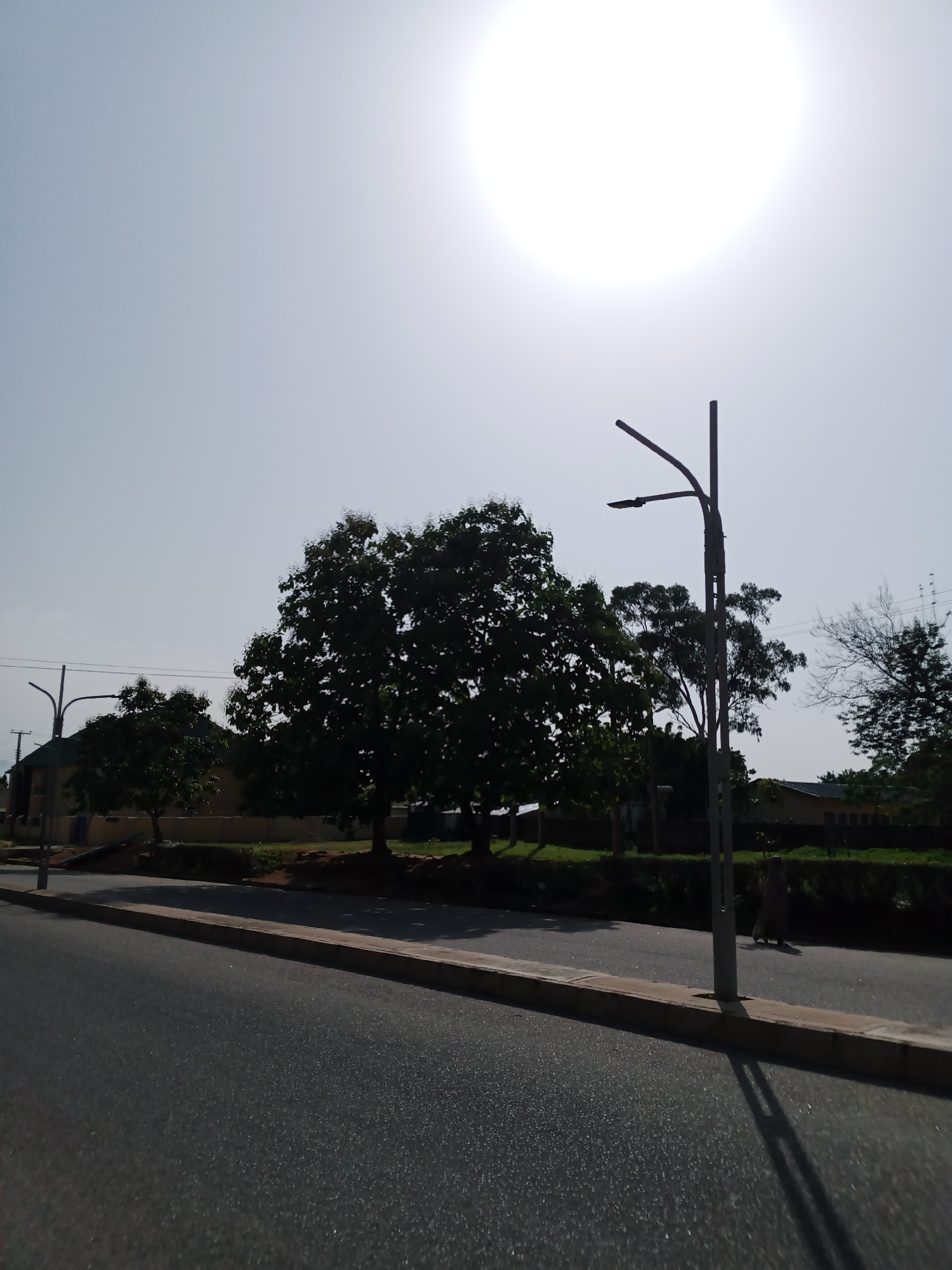 The image captures a street scene in Jalingo, Nigeria, on a bright, sunny day. A large, dark silhouette of a tree dominates the center of the frame, with another smaller tree to its left. A tall, modern street lamp stands prominently in the foreground on the right side of the road, casting a long shadow across the asphalt. Beyond the trees, residential buildings with tan-colored walls are visible, interspersed with more greenery. The sky is a pale, hazy blue, with the sun appearing as a bright, washed-out disc near the top of the image. The road surface is dark asphalt, with a concrete curb running alongside it. In the far right distance, a person can be seen walking. The overall impression is one of a warm, sunlit day in an urban or suburban environment.
