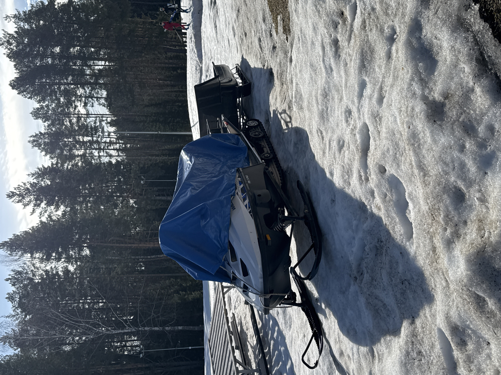 The scene depicts a late winter or early spring outdoor environment in Прикамский, Russia, under bright, partly cloudy conditions. In the foreground and midground, a white and dark-colored snowmobile is parked on a patchy ground consisting of melting snow and exposed dark earth. The snowmobile is largely covered by a blue tarp, secured at the front with a white rope. It is connected to the rear of a black, open-top utility sled with visible runners. Distinct shadows are cast on the snow by the vehicles, indicating strong sunlight from the right. To the left of the snowmobile, a light-colored wooden table or bench structure is visible, along with a tall utility pole. The background is dominated by a dense coniferous forest with tall, dark evergreen trees, intermingled with at least one bare-branched deciduous tree, possibly a birch, on the left. In the far right background, two distant individuals are visible on a snow-covered incline; one wears a bright red suit and the other a darker suit, suggesting participation in winter recreational activities.