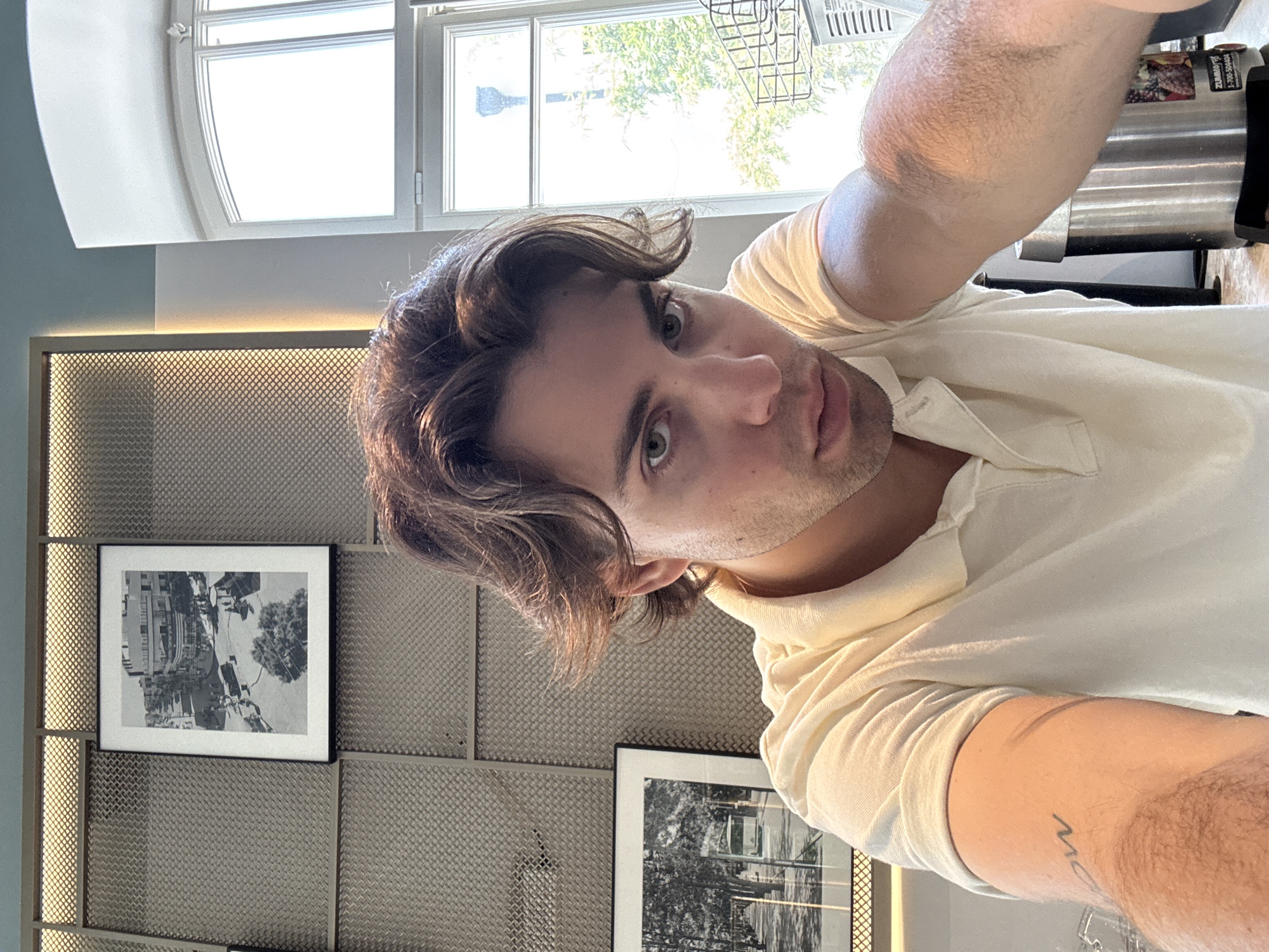 A man with brown hair and green eyes, wearing a white polo shirt, takes a selfie in front of a wall with a mesh pattern. Two black and white framed pictures hang on the wall. A window with an arched top lets in natural light. Outside, greenery is visible. A silver appliance is partially visible in the upper right corner of the frame. The location appears to be indoors. Information about Tel-Aviv cannot be determined from the image.