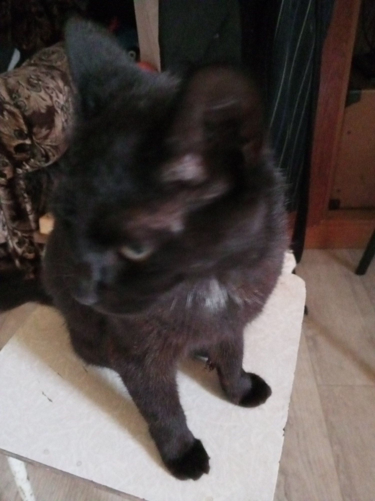 A black cat is perched on a white stool in an indoor setting. The cat has its head tilted downwards, with its left ear perked up. A small patch of white fur is visible on its chest. The stool is positioned on a wooden floor. In the background, there is a dark-colored piece of furniture and a wall. The lighting in the scene is dim. The image quality is poor, with visible blur and noise.