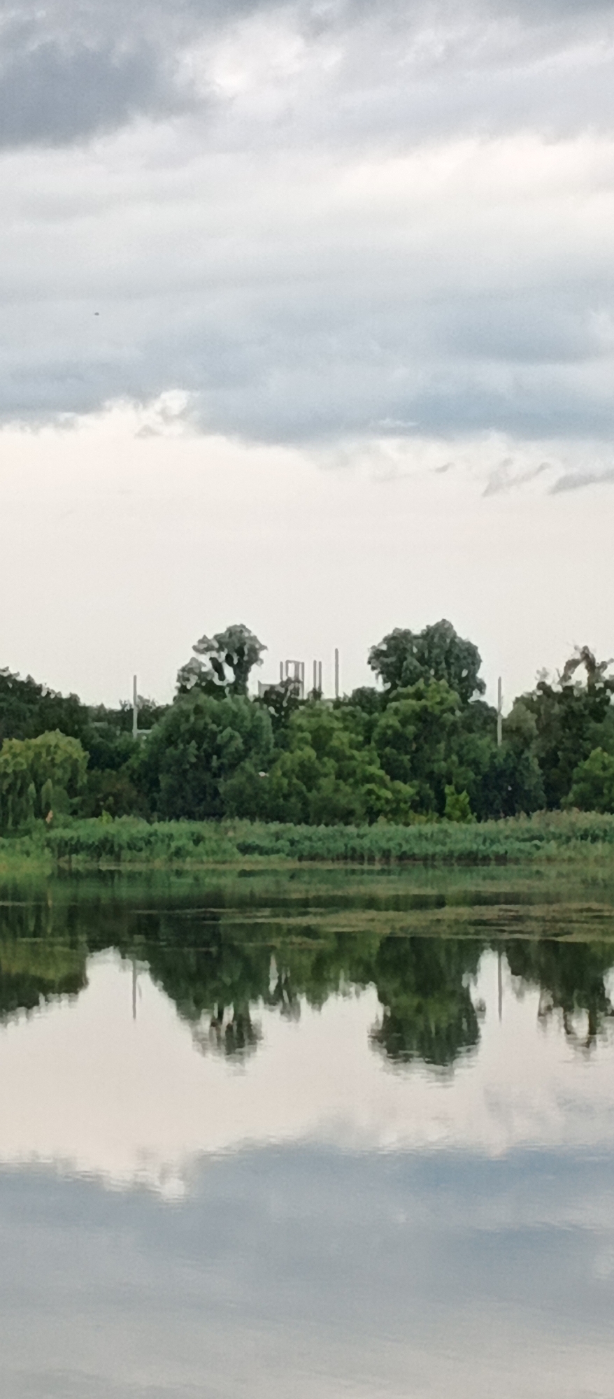 The image depicts a serene lake reflecting a cloudy sky and a dense line of trees along the far bank. The water is calm, with subtle ripples distorting the reflection of the sky and foliage. A thin band of greenery, likely reeds or marsh grass, runs along the edge of the water before giving way to the taller trees. These trees are a mix of deciduous varieties, with full, rounded canopies. Some lighter-colored, skeletal structures, possibly part of unfinished construction or old pylons, are visible rising above the trees in the center of the frame, breaking the natural continuity of the treeline.
The sky is overcast with a mixture of dark gray and lighter, diffused clouds, suggesting a possibility of rain or a generally gloomy day. There is a very small, dark speck in the sky above the trees which might be a bird or insect, but it is too indistinct to be certain. The time of day is indeterminate due to the overcast conditions, but the overall ambiance suggests it could be morning or late afternoon. The reflection in the water is a mirror image of the scene above, with the colors muted and softened by the water's surface. No people or distinct objects are visible in the water or on the shoreline. The image evokes a sense of quietude and natural beauty, slightly juxtaposed by the man-made structures in the distance. The location is Smila, Ukraine.