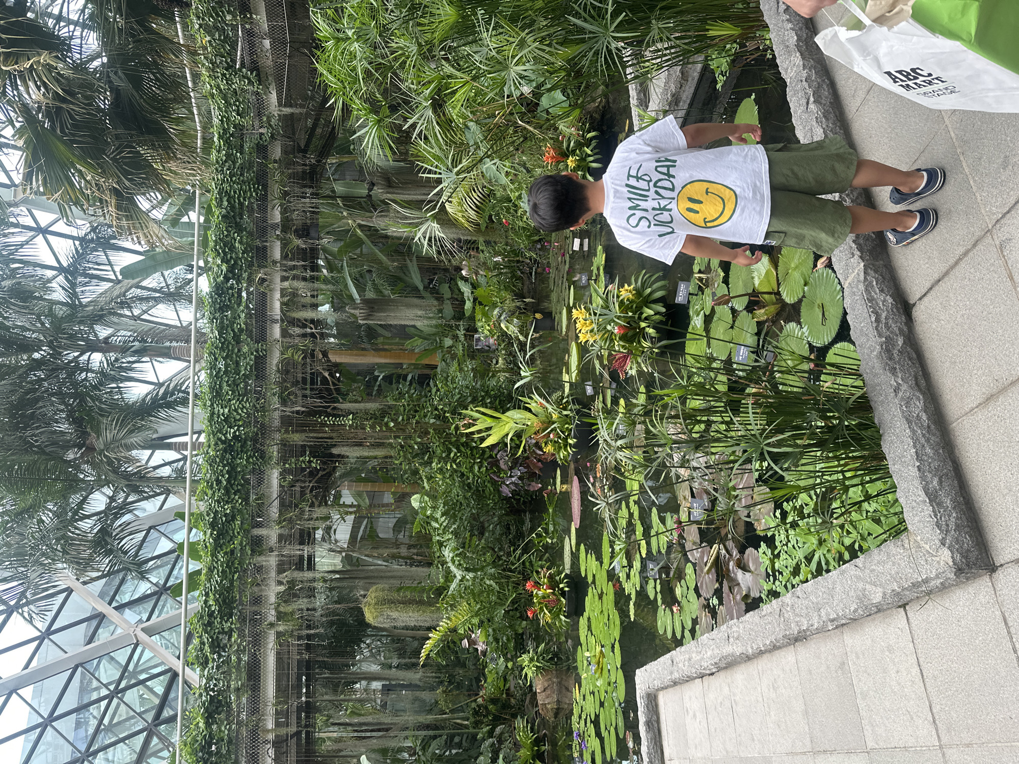 The image depicts the indoor garden of a conservatory, likely the Cloud Forest at Gardens by the Bay in Singapore. A young boy, facing away from the camera, stands on a tiled pathway beside a pond filled with water lilies and other aquatic plants. He is wearing a white t-shirt with a smiley face graphic and green shorts. The conservatory features a glass ceiling, allowing natural light to illuminate the lush greenery, including palm trees and hanging plants. The pond is surrounded by a stone border, and the overall environment suggests a tranquil, tropical atmosphere. The boy appears to be observing the pond and its flora.