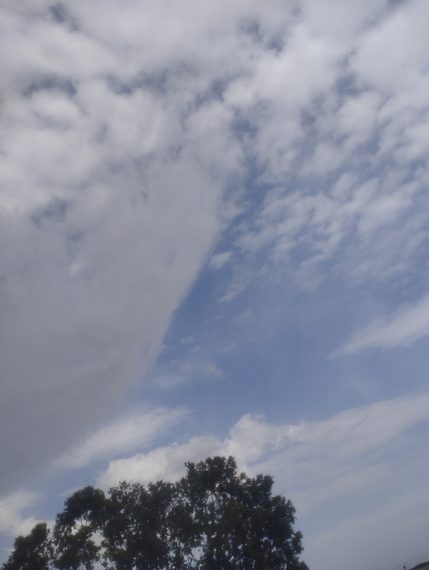The image captures a view of the sky with scattered clouds above a dense canopy of dark green trees. The sky is a pale blue, with large, puffy white clouds occupying the upper left portion of the frame, transitioning to a clearer blue sky with wispy clouds on the right. The trees form a dark, textured line across the bottom of the image, with their branches and foliage silhouetted against the sky. The scene appears to be a natural landscape, possibly on the outskirts of a city, with the greenery suggesting an area with vegetation. There are no people or specific identifiable structures visible that would pinpoint a precise location within Jos, Nigeria, beyond the general context of an outdoor environment in that region.