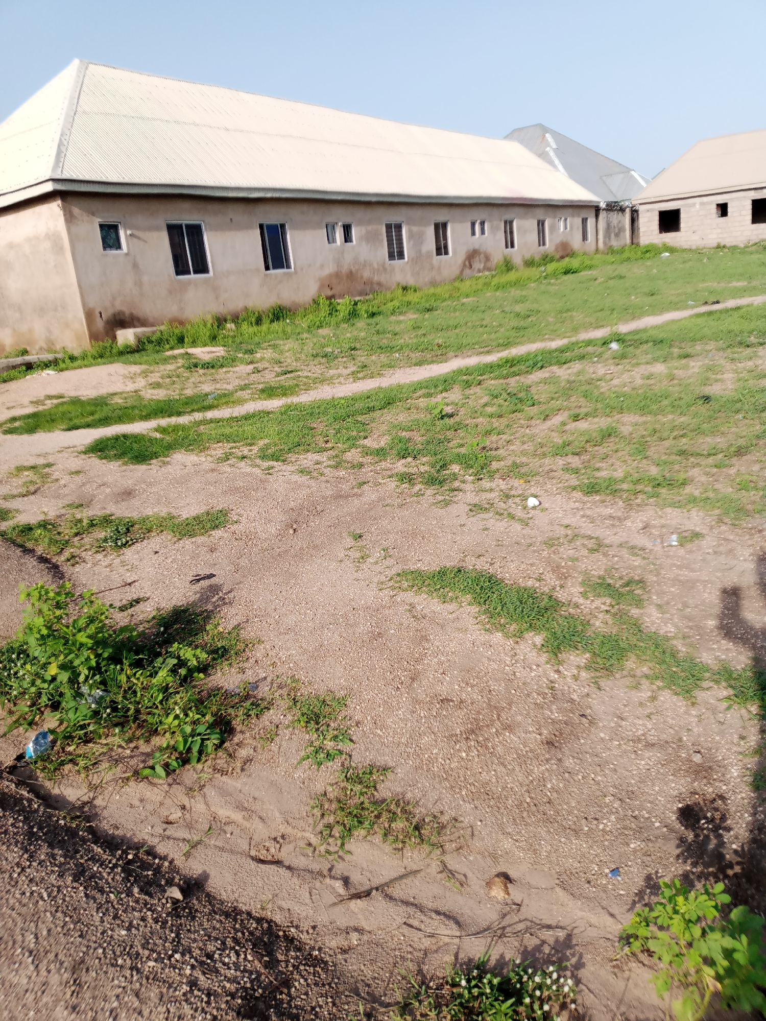 The image depicts an outdoor scene in Jauro Yinu, Nigeria, under a clear blue sky, suggesting a daytime setting. The primary subjects are two long, single-story buildings with light-colored, corrugated metal roofs. The building in the foreground has a beige, unplastered facade and several windows. To its right, another building, seemingly under construction or unfinished, has a brick exterior and dark, open window frames.
The buildings are situated on a slightly sloped terrain covered by patches of green grass and dirt. A path or cleared area made of gravel and sand winds through the scene. There are scattered pieces of litter, including plastic bottles and wrappers, visible on the ground, indicating some level of human activity or neglect in the area. Small green plants and weeds are growing in various parts of the foreground and around the buildings. The overall impression is one of a semi-rural or developing area, possibly a school, community center, or residential complex. There is no discernible text in the image.