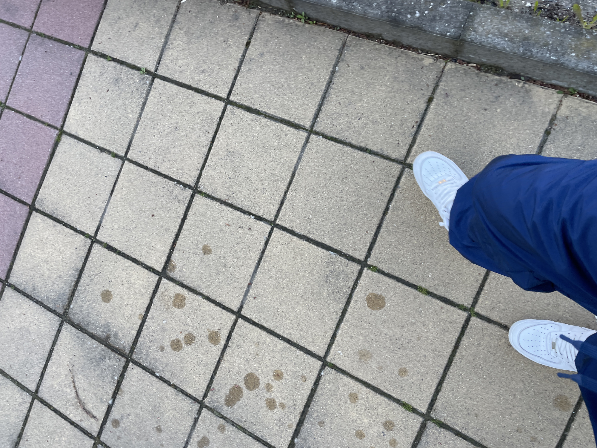 A high-angle photograph shows a person wearing navy blue athletic pants and white sneakers standing on a paved walkway composed of square, gray tiles. Some tiles have dark stains. The walkway is bordered by a low concrete curb or wall with some vegetation. The location is not identifiable as Zlatograd, Bulgaria, from the visual evidence provided. No specific actions or interactions are discernible.