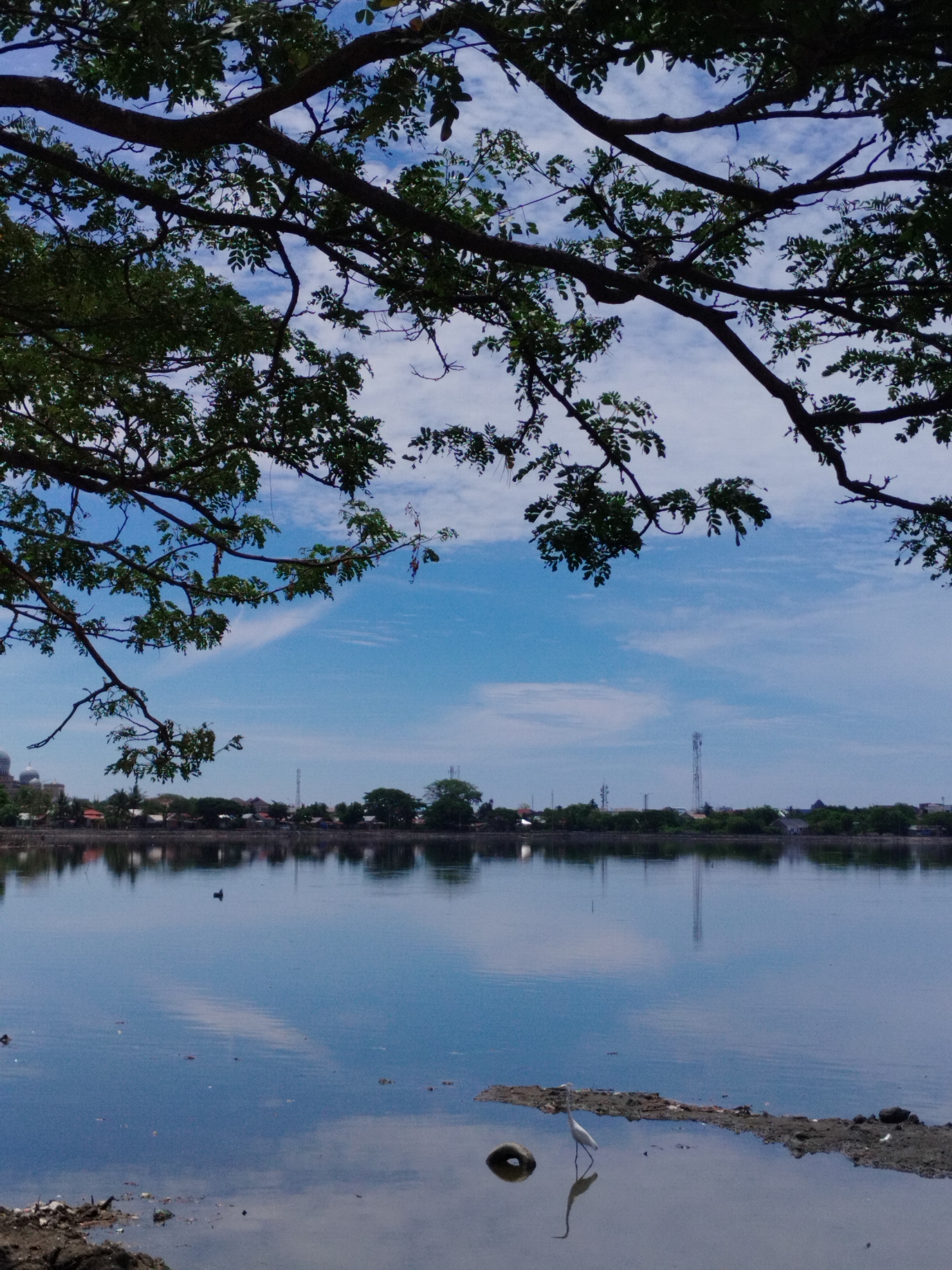 The image captures a serene waterscape under a partly cloudy sky, framed by the branches of a large tree in the foreground. The scene is set on the eastern side of the city of Lhokseumawe, Indonesia, along the coast where the water meets the land.
In the middle ground, a tranquil body of water, possibly a lake or a bay, reflects the blue sky and scattered white clouds. The water's surface is calm, with gentle ripples disturbing the reflection. Along the distant shoreline, a line of buildings, trees, and communication towers are visible, hinting at the urban environment of Lhokseumawe. A few boats are dotted on the water, and what appears to be a bird can be seen in the distance.
In the foreground, a single white egret stands on a small patch of muddy land emerging from the water, its reflection clearly visible. Next to the egret, a discarded tire lies partially submerged in the shallow water. The muddy area is strewn with debris, suggesting it's a less-maintained part of the waterfront. The overall atmosphere is peaceful, with the natural elements of water, sky, and wildlife dominating the composition, juxtaposed with the subtle presence of human infrastructure in the background.