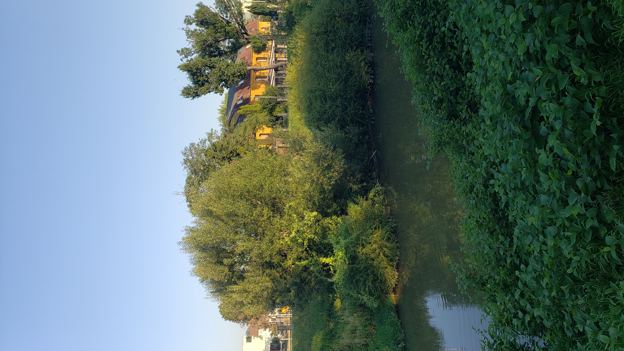 The image depicts a tranquil waterside scene, likely in Prešov, Slovakia. A body of calm, greenish water occupies the lower left portion of the frame, reflecting the surrounding greenery and the clear blue sky. Lush green foliage, including dense bushes and tall trees, lines the banks of the water. In the middle ground, a vibrant yellow building with a sloped, dark roof is visible, nestled amongst the trees. The building features several windows and balconies, suggesting it might be a residential or commercial establishment. Some other buildings, appearing lighter in color, can be seen further in the background, to the left of the yellow building. The overall atmosphere is serene, with sunlight illuminating the scene and casting gentle shadows. There are no people or animals visible in the image. The environment appears to be a developed urban or suburban area with significant natural elements.