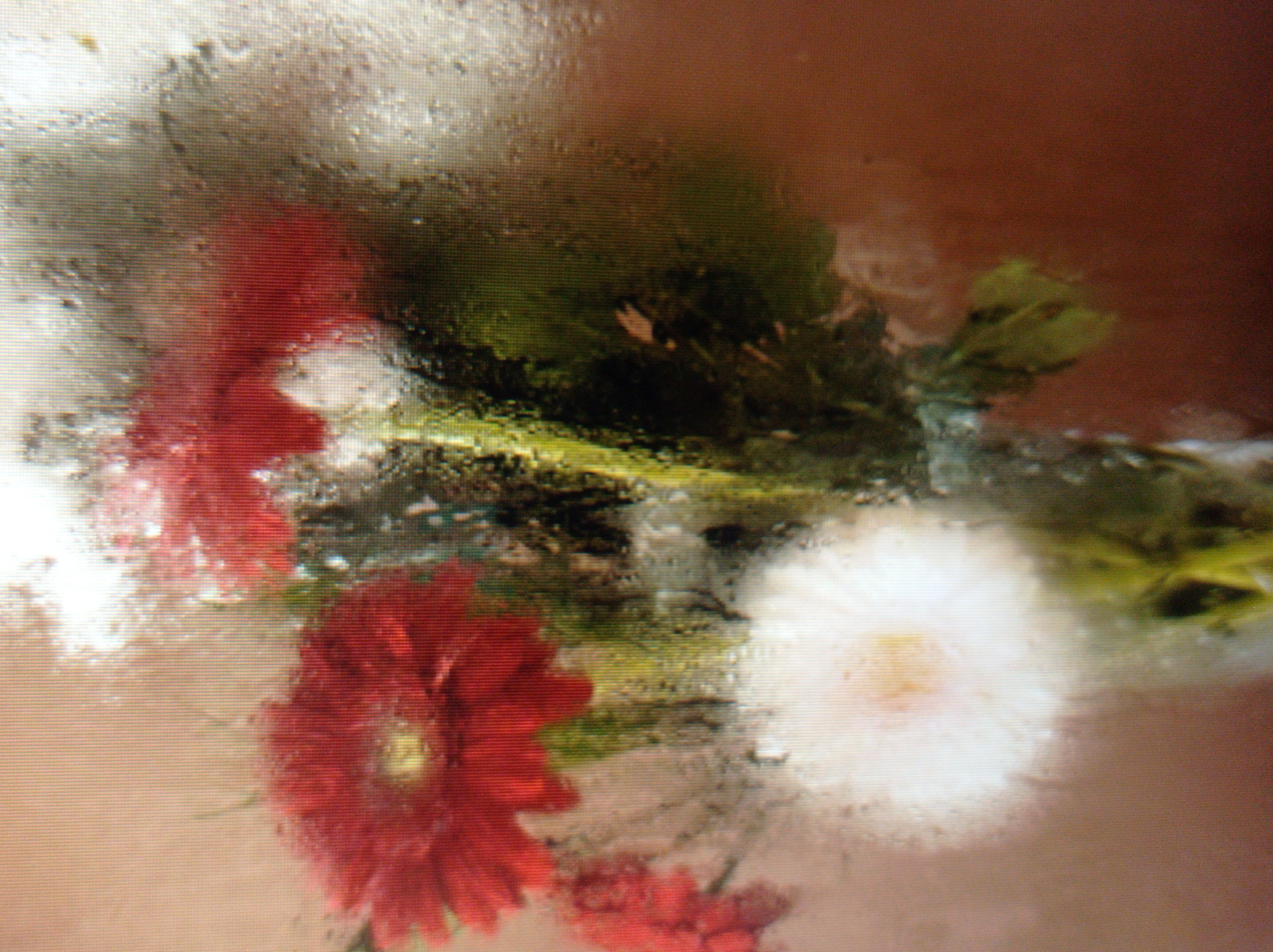 The image displays a blurry, close-up view of a bouquet of flowers through condensation on a glass surface. The flowers appear to be Gerber daisies, with at least one prominent red bloom and a white bloom visible. Green foliage is also present. The condensation creates a soft, diffused effect, obscuring fine details. The background is a warm, muted color, possibly a wall or fabric. There is no indication of a specific location within Mukachevo, Ukraine, nor are there any people or discernible actions depicted. The scene is static and focused on the texture and impression of the flowers behind the obscured glass.