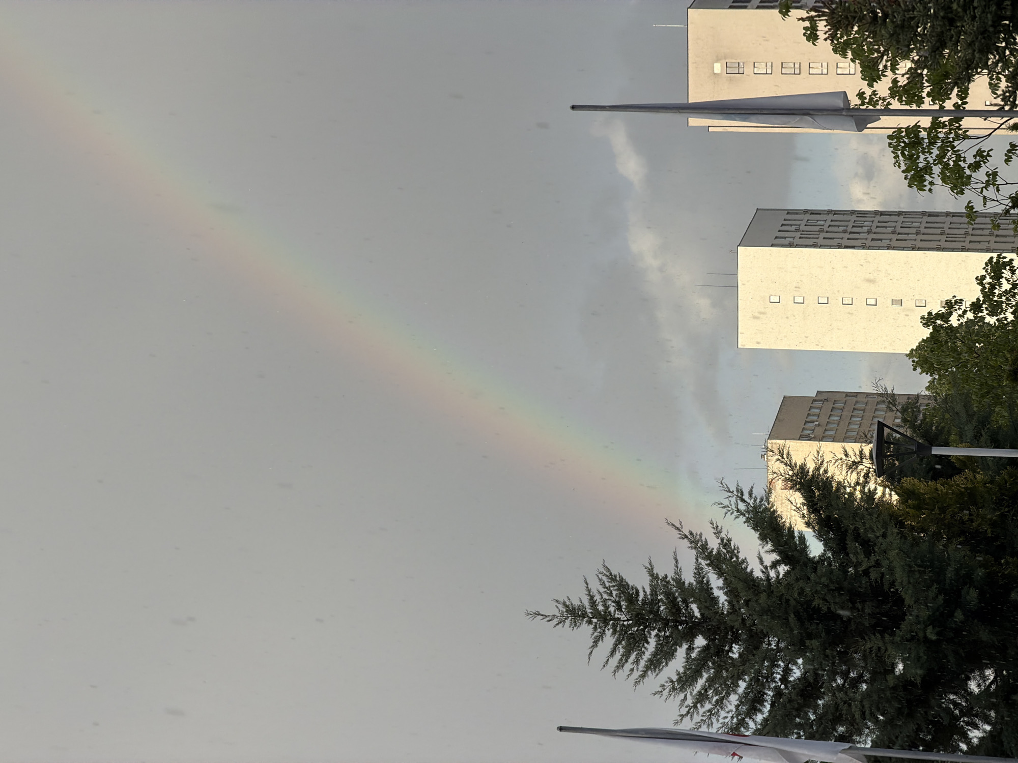The image depicts a rainbow in the sky over Sofia, Bulgaria. In the lower right corner is a large evergreen tree with a street lamp partially visible behind it. A flagpole with a white flag is positioned at the very bottom edge of the frame. To the right are a few white buildings with rows of windows. The sky is grey. The rainbow stretches from the upper left to the lower right.