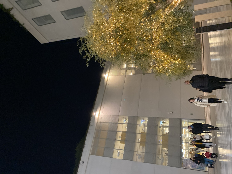 A nighttime outdoor scene captures a modern architectural complex, likely a public plaza or walkway, in Kallithea, Greece. The image, oriented incorrectly and appearing rotated 90 degrees counter-clockwise, depicts a sleek, light-colored building with large, reflective windows dominating the right side of the frame. The left half is occupied by a dark night sky.
A large tree, prominent in the upper-middle and right, is heavily decorated with countless small, warm-toned string lights, casting a festive and inviting glow across the area. Upward-facing spotlights on the building's facade also illuminate the scene, along with the lights visible through the building's windows, suggesting activity inside.
Several people are present. In the upper right, a man in a dark jacket and a woman in a white jacket are standing. The woman's white top features dark lettering, which appears to spell "HUGO." In the lower right, a group of approximately five to six individuals, including adults and possibly children, are seen walking along a polished or reflective paved surface. Their presence suggests the area is a pedestrian zone or gathering spot.
The overall atmosphere is one of a well-lit, contemporary urban environment active during the evening. The decorative tree lights lend a celebratory or welcoming ambiance to the modern setting. No other distinct text is visible apart from the clothing.