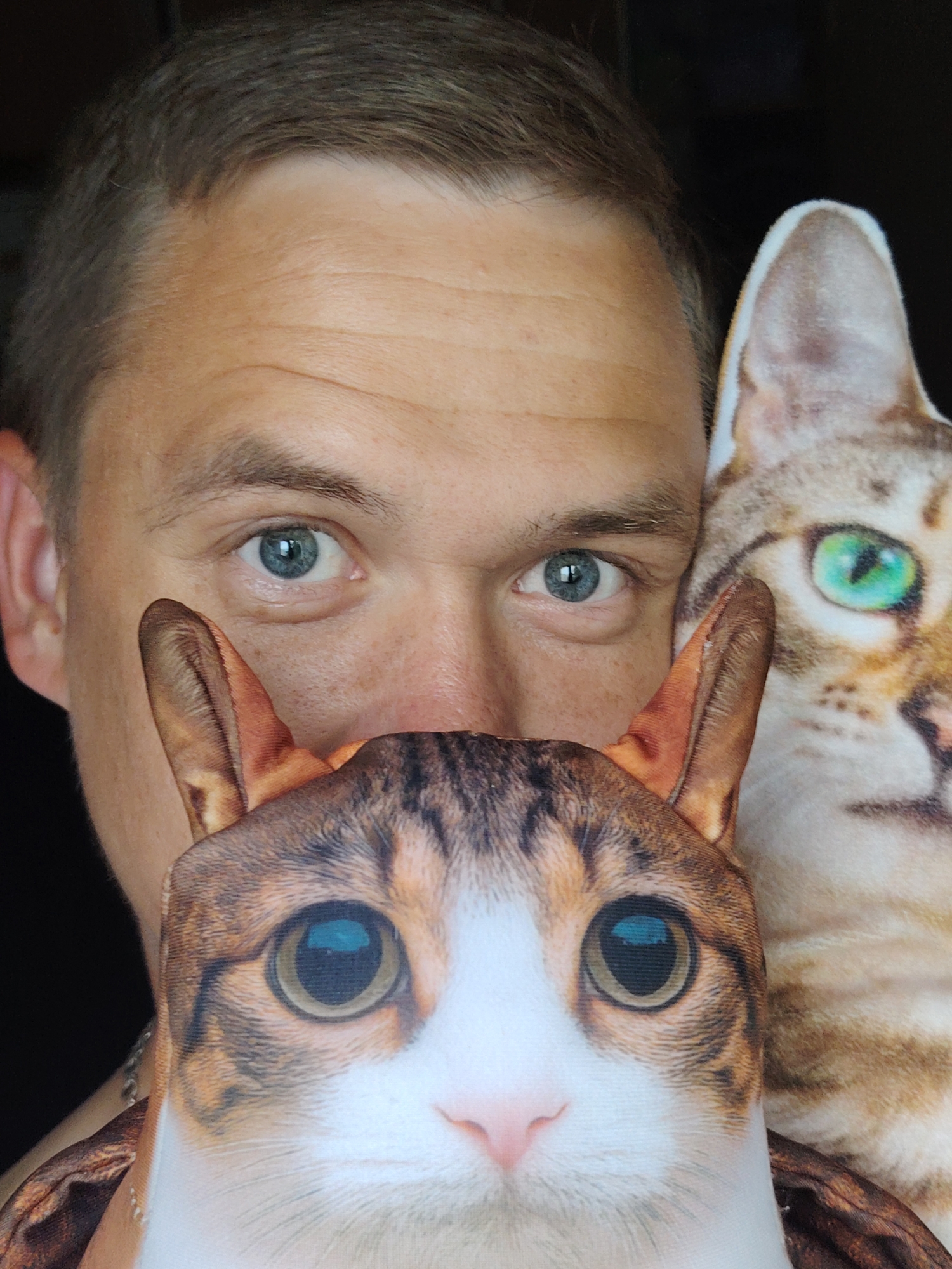 A close-up, eye-level shot shows a person's face peeking out from behind two superimposed images of cats. The person's face is partially obscured by the cat images, but their eyes are visible. The cat images are realistic and detailed, with one cat's face filling the right side of the frame and another cat's face positioned in the foreground, obscuring the lower half of the person's face. The background is dark and out of focus. The image appears to be taken indoors. There is no specific indication of the location in Chaikovsky, Russia.