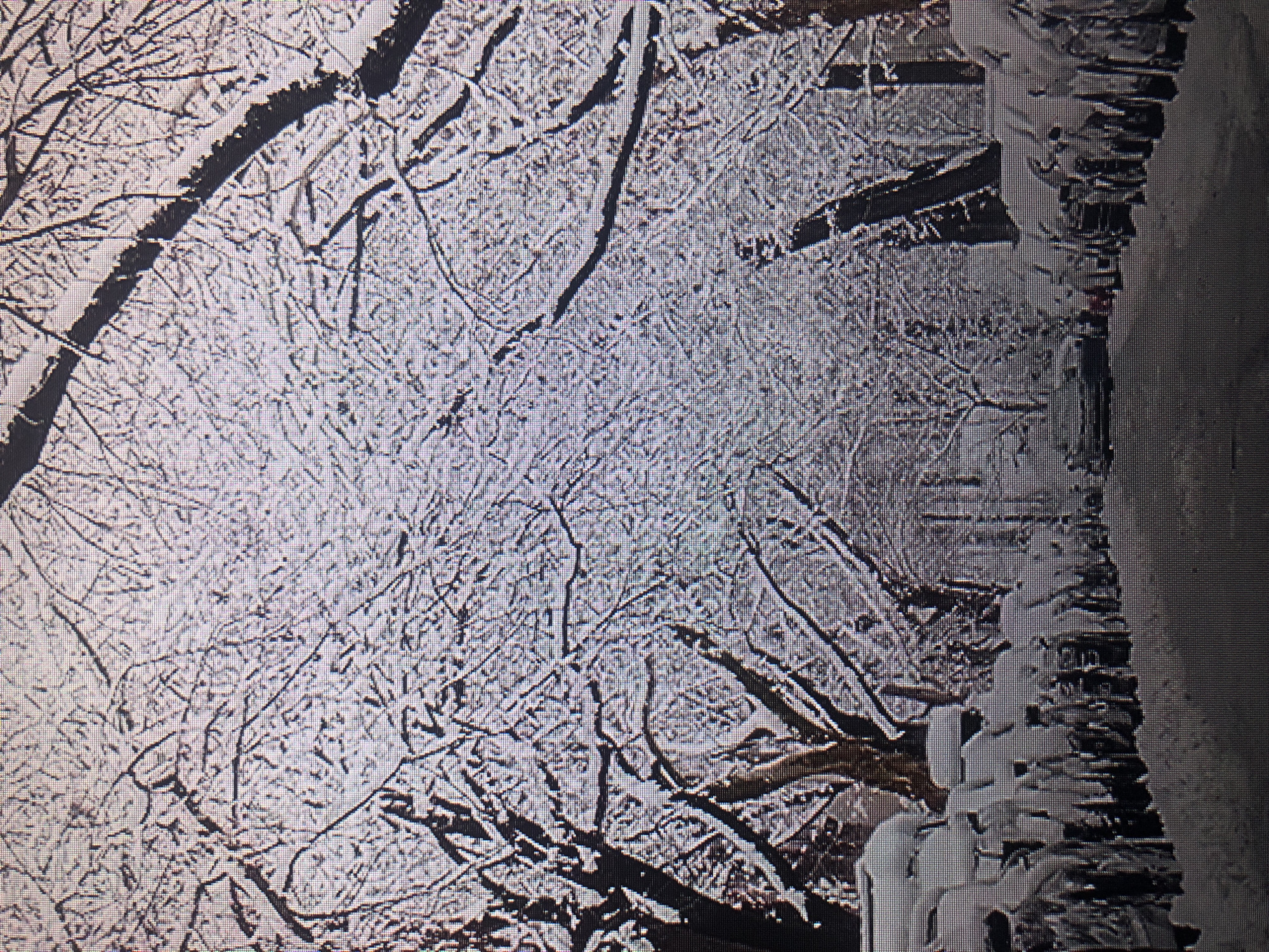 The image shows a snow-covered scene, likely a park or wooded area. Tree branches are heavily coated in snow, creating a dense, intricate pattern. The ground is also covered in a thick layer of snow. On the right edge of the image, there is a structure, possibly a building or wall, also covered in snow. It's difficult to confirm that the image is taken in Buenos Aires, Argentina because snow is very rare there. However, based on the architecture of the wall on the right, the location might be in the northern suburbs of the city. There is no evidence of people or action in the image.