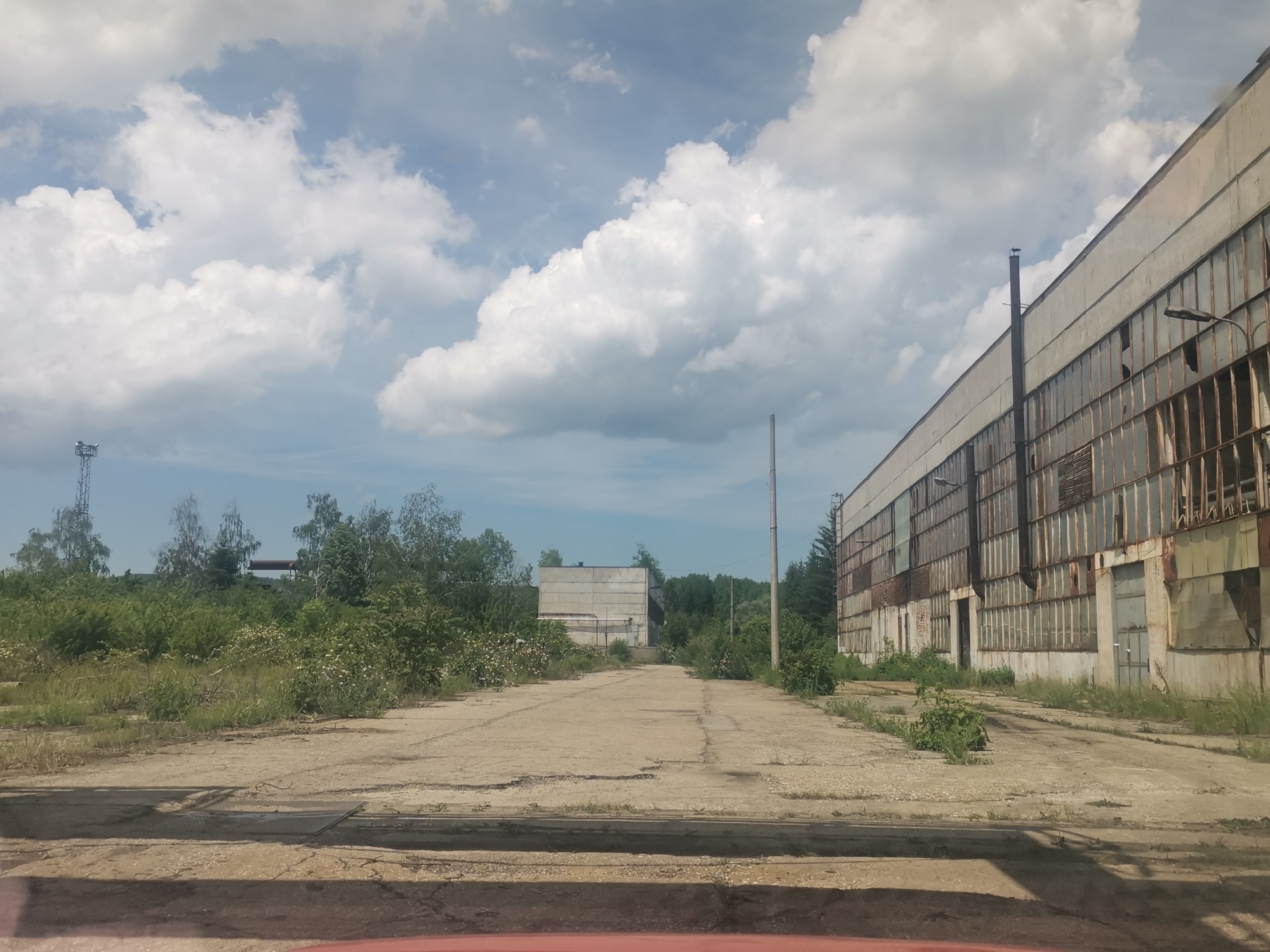 This media file captures an outdoor scene depicting an abandoned industrial area, likely in Zhivkovo, Bulgaria. The central focus is a cracked and overgrown concrete road or pathway that recedes into the distance, flanked by a large, dilapidated industrial building on the right and dense, unkempt vegetation on the left.
The industrial building on the right is long and appears to be made of concrete panels, with numerous large window panes that are mostly broken, missing, or heavily rusted. Some sections show exposed framing. Several overhead lights or fixtures are attached to the building's facade. A tall, thin metal pole or chimney is visible rising against the building and the sky. The immediate area around the building is also overgrown with weeds and grass.
To the left of the road, there's a thick expanse of wild green vegetation, including trees and bushes, suggesting a lack of maintenance. Further in the background on the left, a metal structure, possibly part of a transmission tower, and another concrete building are partially visible amidst the foliage. A wooden utility pole stands near the middle-ground on the right side of the road.
The sky overhead is partly cloudy, with large, puffy white clouds against a lighter blue sky, indicating a bright daytime setting. No people or specific activities are visible, reinforcing the impression of an abandoned or disused site. There is no visible text in the image. The overall atmosphere conveys a sense of decay and industrial decline.