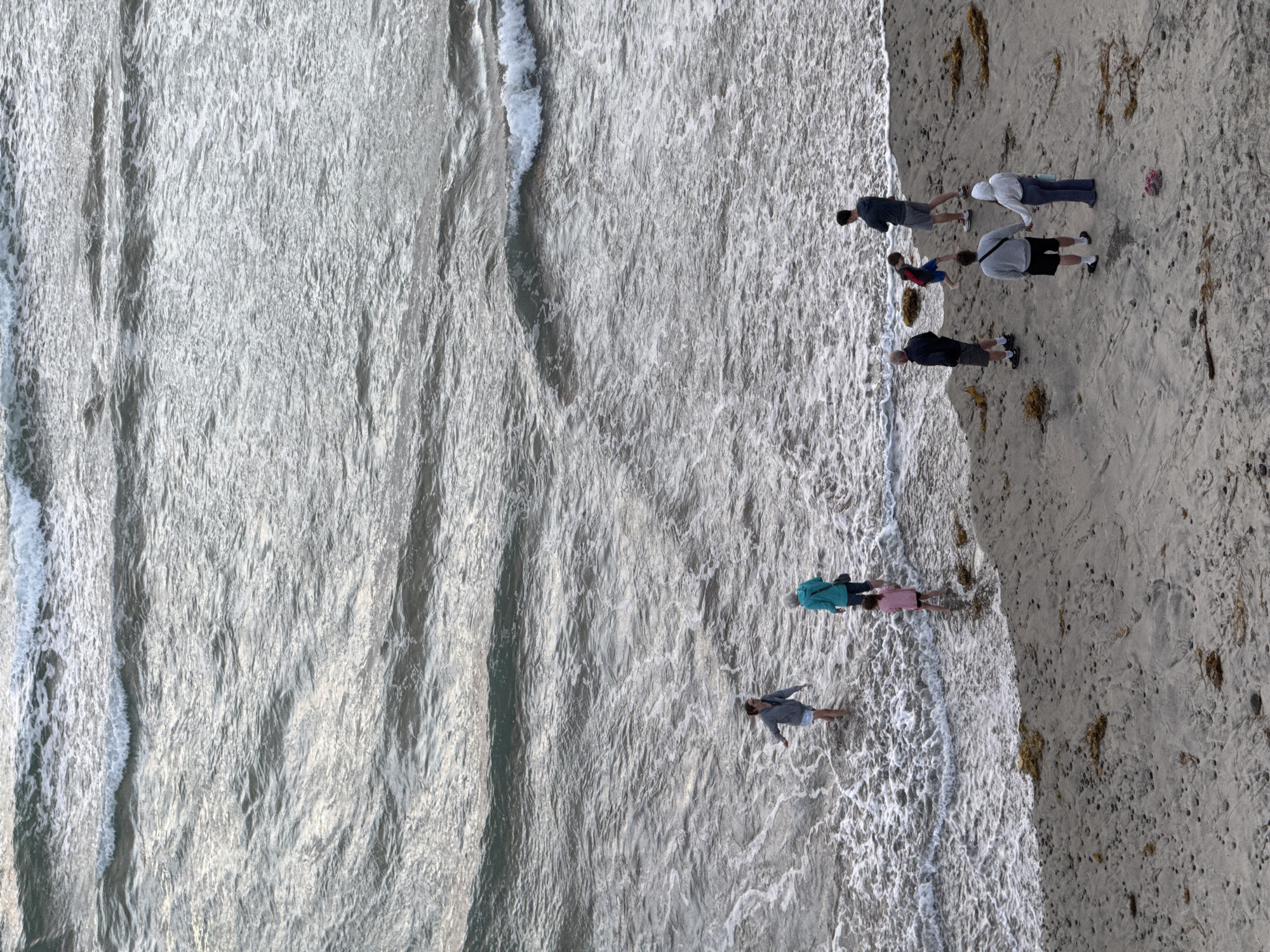 This high-angle, full-frame shot captures a group of people at the edge of the ocean in Encinitas, California. The water, a mix of grey and white with visible waves, occupies the upper two-thirds of the frame, while the sandy beach, dotted with seaweed and small rocks, fills the bottom third. Seven individuals are distributed across the scene. In the water, near the shore, two adults and a child are standing, with the child in the foreground. On the beach, a group of four people are gathered, with two individuals holding hands. The overall lighting suggests it is daytime, possibly late afternoon given the muted tones of the ocean and sky.