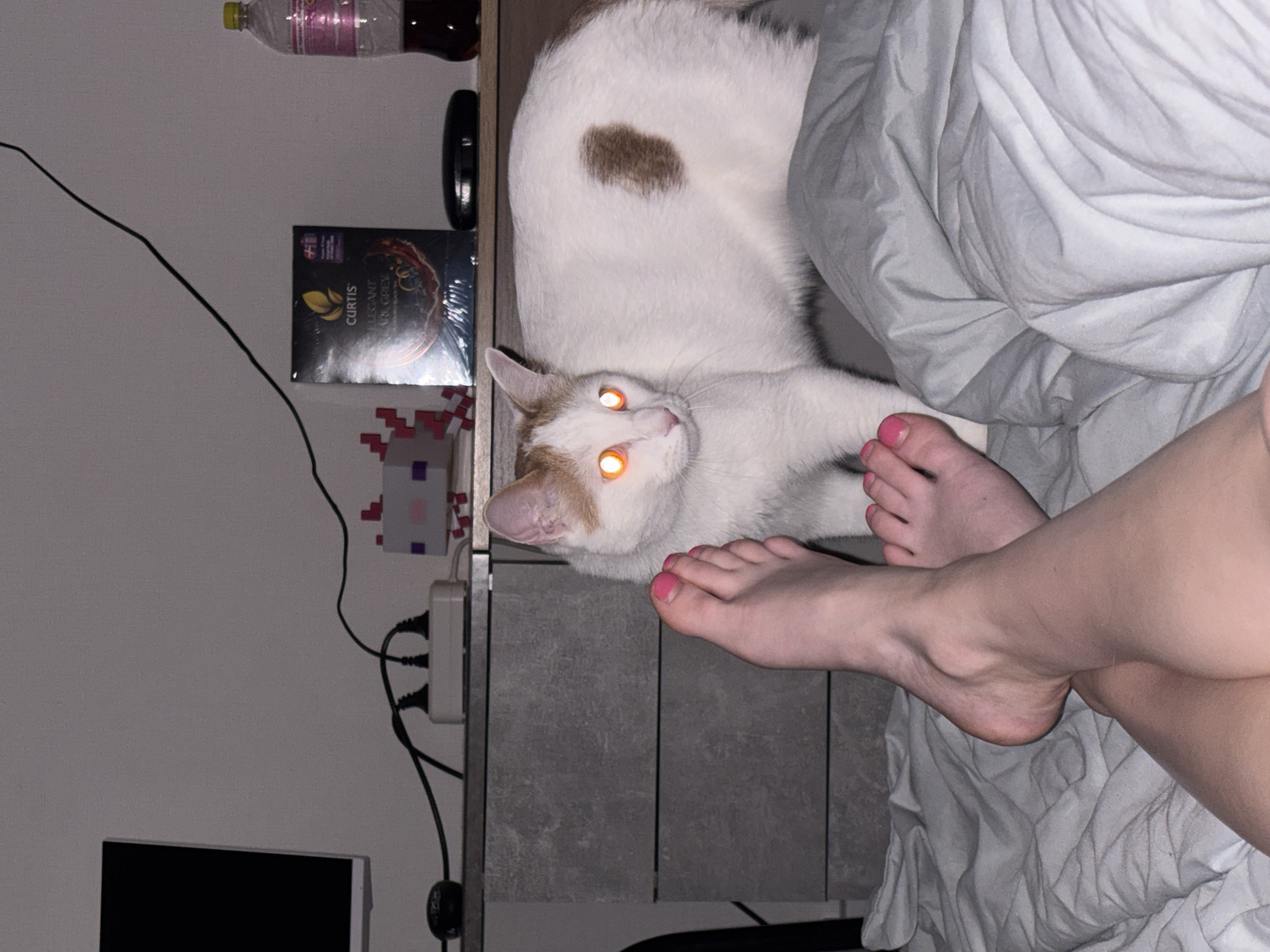 An indoor, vertical shot shows a white and ginger cat interacting with human feet next to a bed. The cat, mostly white with a brown patch on its back and ginger markings on its head, is lying on a grey surface next to the bed. Its eyes glow intensely orange, a common effect from flash photography. Two human feet, with bright pink nail polish on the toes, are visible, one resting on the grey surface near the cat, and the other further back on the light grey, rumpled bedding.
The setting appears to be a bedroom or a personal living space. To the left of the cat and feet, a white wall is visible with various objects attached or resting against it. A black cable runs across the wall. On a shelf above the cat, a plastic bottle, possibly containing water or soda, and a dark oval object (potentially sunglasses or a remote) are present. Below the shelf, a box of tea is visible, with text that reads "CURTIS," "ELEGANT," and "EARL GREY." Further down, a small pixel art decoration, resembling an alien from the game Space Invaders, is affixed to the wall. Below this, a white power strip with multiple plugs and black cables is connected to electrical outlets, with a part of a dark monitor screen visible at the bottom left. The lighting is dim, suggesting it is nighttime or the room is dimly lit. The overall scene captures a quiet, domestic moment. The location context is Ligolambi, Russia.