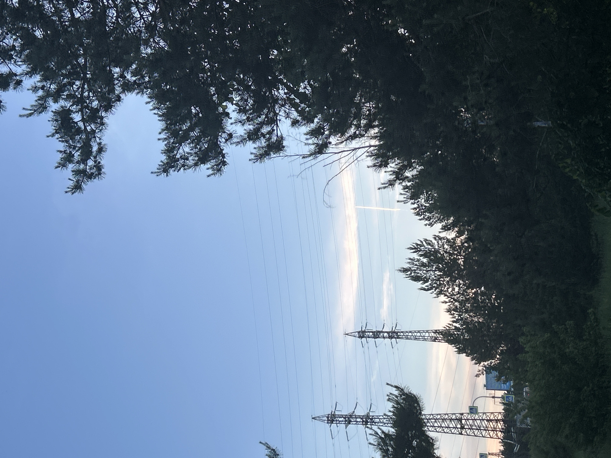 The image captures a view of a clear blue sky above a line of tall evergreen trees, with two industrial power line towers visible in the distance. The towers are silhouetted against the sky, and several power lines stretch horizontally across the frame. A faint contrail from an aircraft is visible in the upper right portion of the sky, and a wispy cloud formation can be seen near the horizon. The lower part of the image is dominated by dense foliage, suggesting a natural or semi-natural environment within or on the outskirts of a developed area. The scene appears to be set during daylight, possibly late afternoon or early evening, given the angle of the light. The location is identified as Noviy, Russia.
