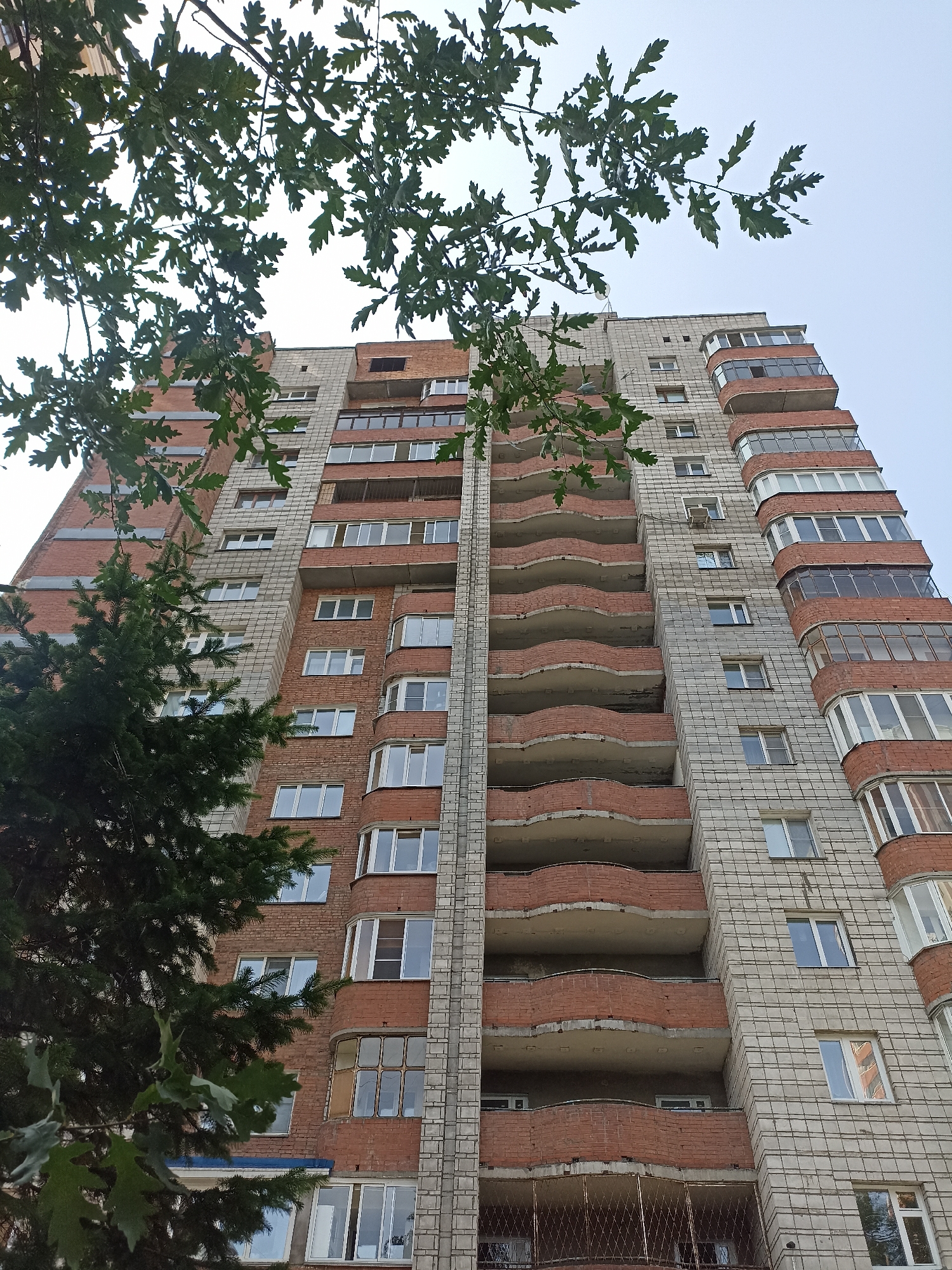 The image depicts the facade of a multi-story residential building in Novosibirsk, Russia. The building is constructed with red brick and light gray concrete blocks, featuring a prominent pattern of curved balconies on one side. The balconies have red brick railings and are enclosed with glass panels. The windows are uniformly white-framed and rectangular. Green foliage from trees, including oak leaves and fir branches, partially obscures the view of the building from the lower left. The sky is overcast. There are no people visible in the image.