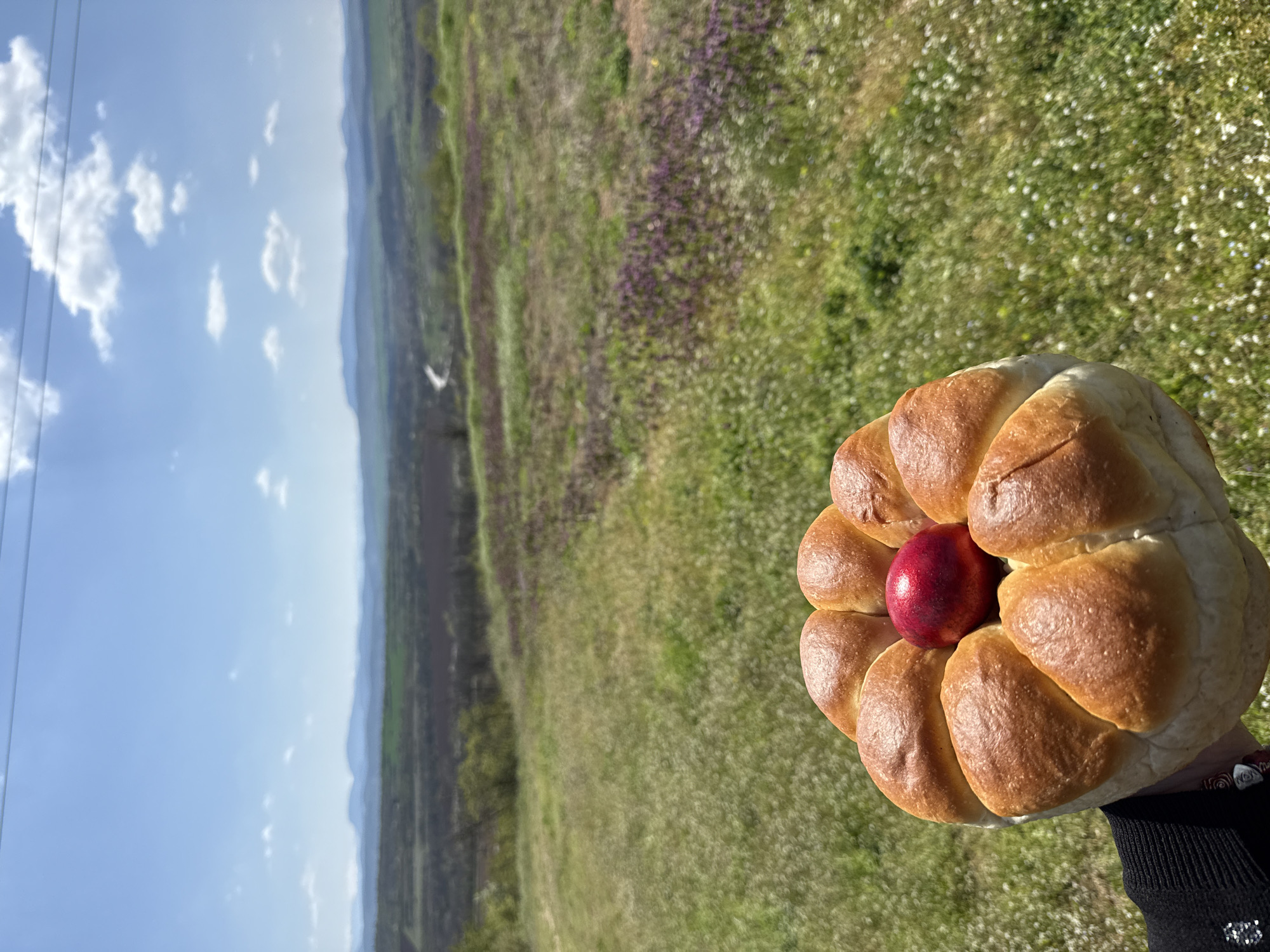 The image shows a hand holding a circular bread roll with a red apple placed in the center. The background features a field of mixed green and purple vegetation, transitioning to a distant mountain range under a blue sky with scattered clouds. The location is near Lukovit, Bulgaria. A powerline is visible in the upper left of the frame. The person holding the bread roll is wearing a black sweater.