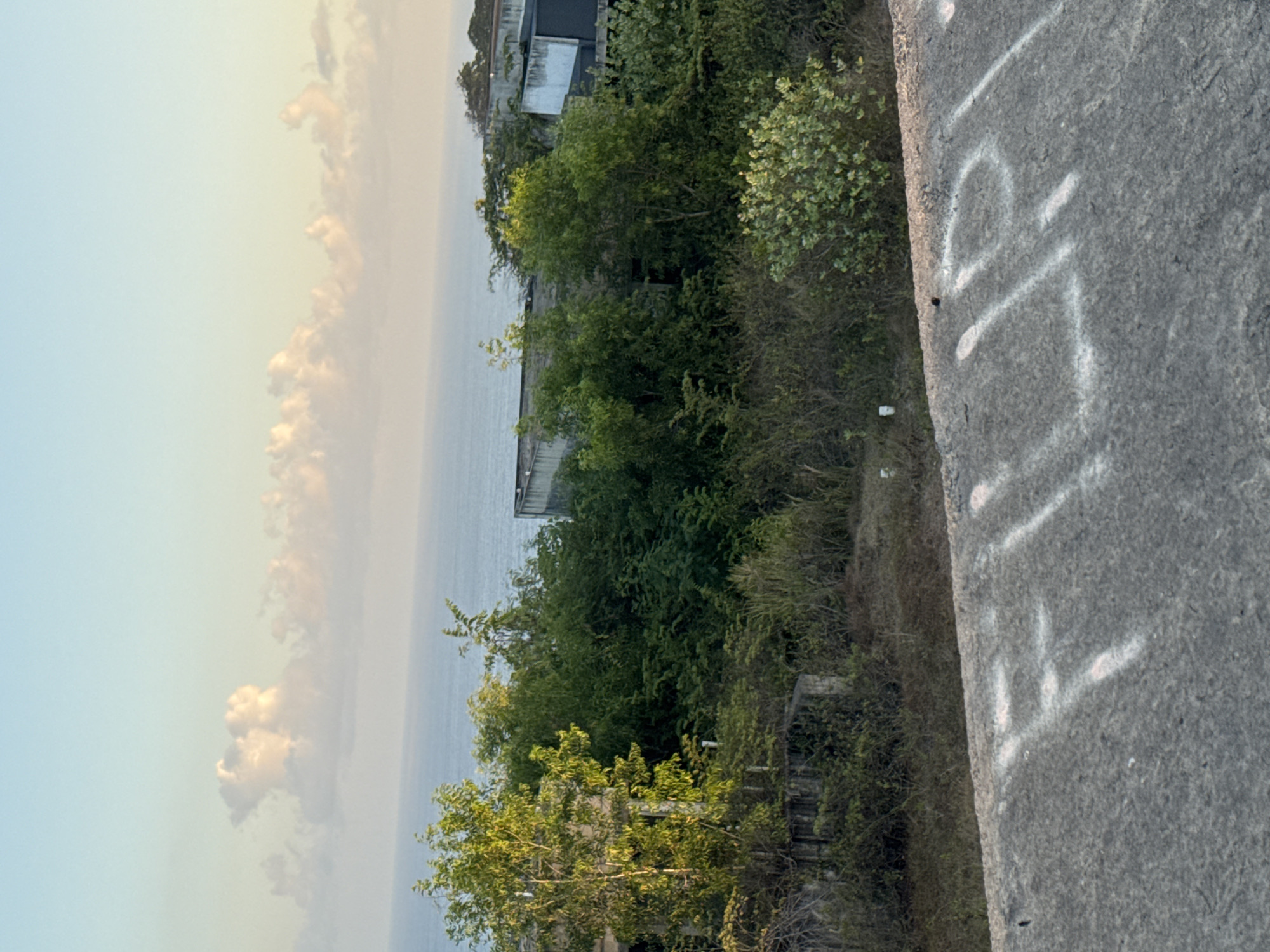 The image shows a serene coastal landscape with the ocean and sky dominating the upper half. The sky is a gradient of pale blue to a lighter hue near the horizon, with soft, scattered clouds tinged with pink and white. Below the sky, the ocean stretches out, a calm expanse of blue. The foreground is a dense tapestry of green foliage, with trees and bushes obscuring some concrete structures. These structures appear to be abandoned buildings, with weathered concrete walls and roofs peeking through the overgrowth. The vegetation is wild and untamed, suggesting a place that has been left to nature. In the immediate foreground, a rough, grey concrete surface is visible, with white markings that appear to be spray-painted letters. The letters are partially obscured and stylized, making them difficult to decipher definitively, but they seem to spell out "FILIPI". This concrete surface could be part of a walkway, wall, or the roof of a structure. The overall impression is one of a neglected, overgrown environment with hints of human presence from the graffiti. The scene evokes a sense of quietude and perhaps a touch of melancholy due to the abandoned structures.