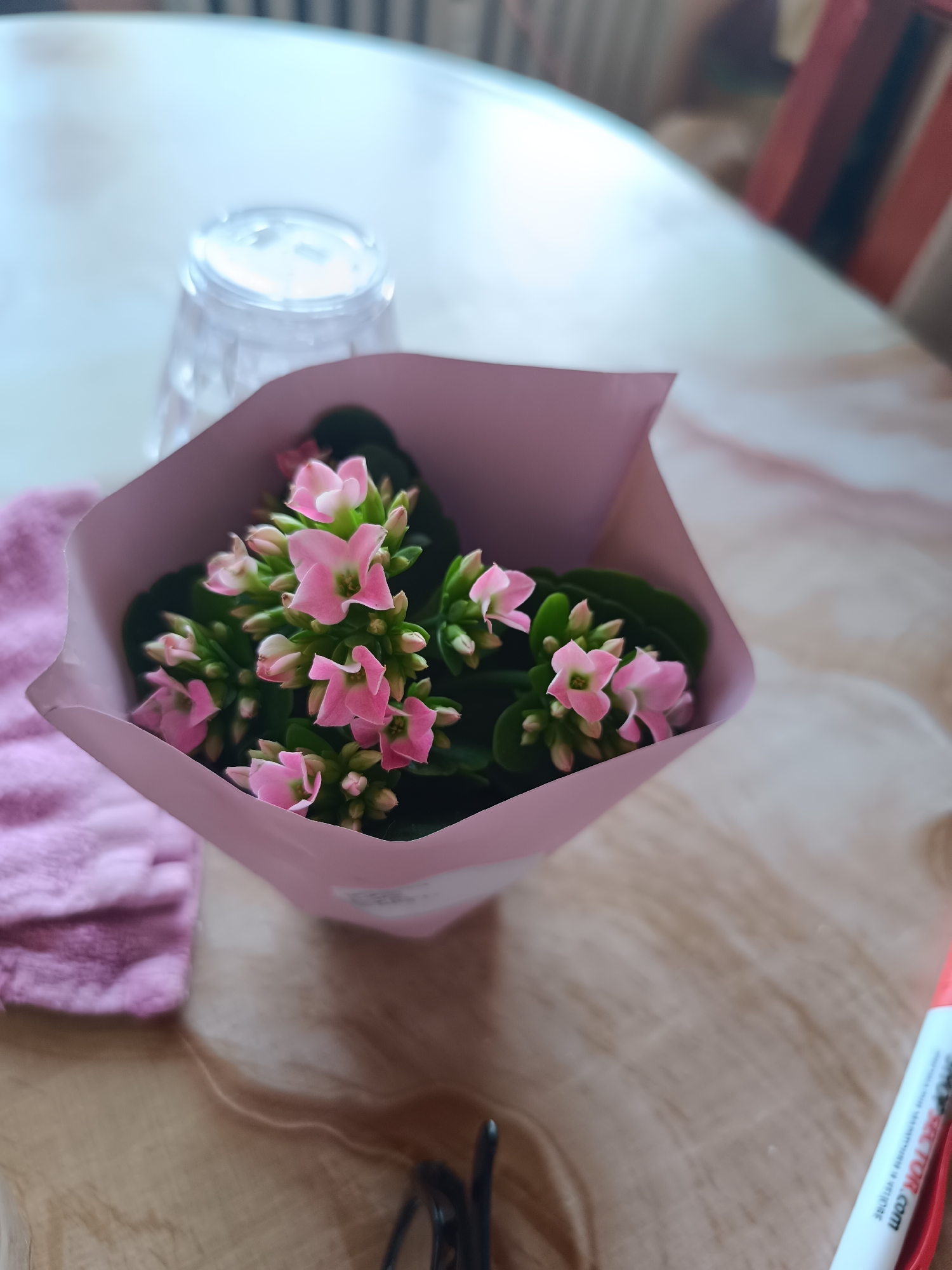 A small potted plant with vibrant pink flowers and green leaves, neatly wrapped in light pink paper, is centrally positioned on a light-colored, possibly wooden or laminate, table. Behind the plant, a clear glass is partially visible, while to its left, a folded pink towel or cloth rests on the table. On the lower right, a red and white marker, clearly displaying "BECTOR.COM" along with smaller, indistinct text, is partly in view next to a dark, unidentified object. The table surface features a subtle wood grain pattern. The background is softly blurred, indicating an indoor setting, possibly a domestic environment, with hints of furniture in the distance. No people are present, and no specific activity is occurring; the scene is a calm still life arrangement. The lighting suggests it is daytime.