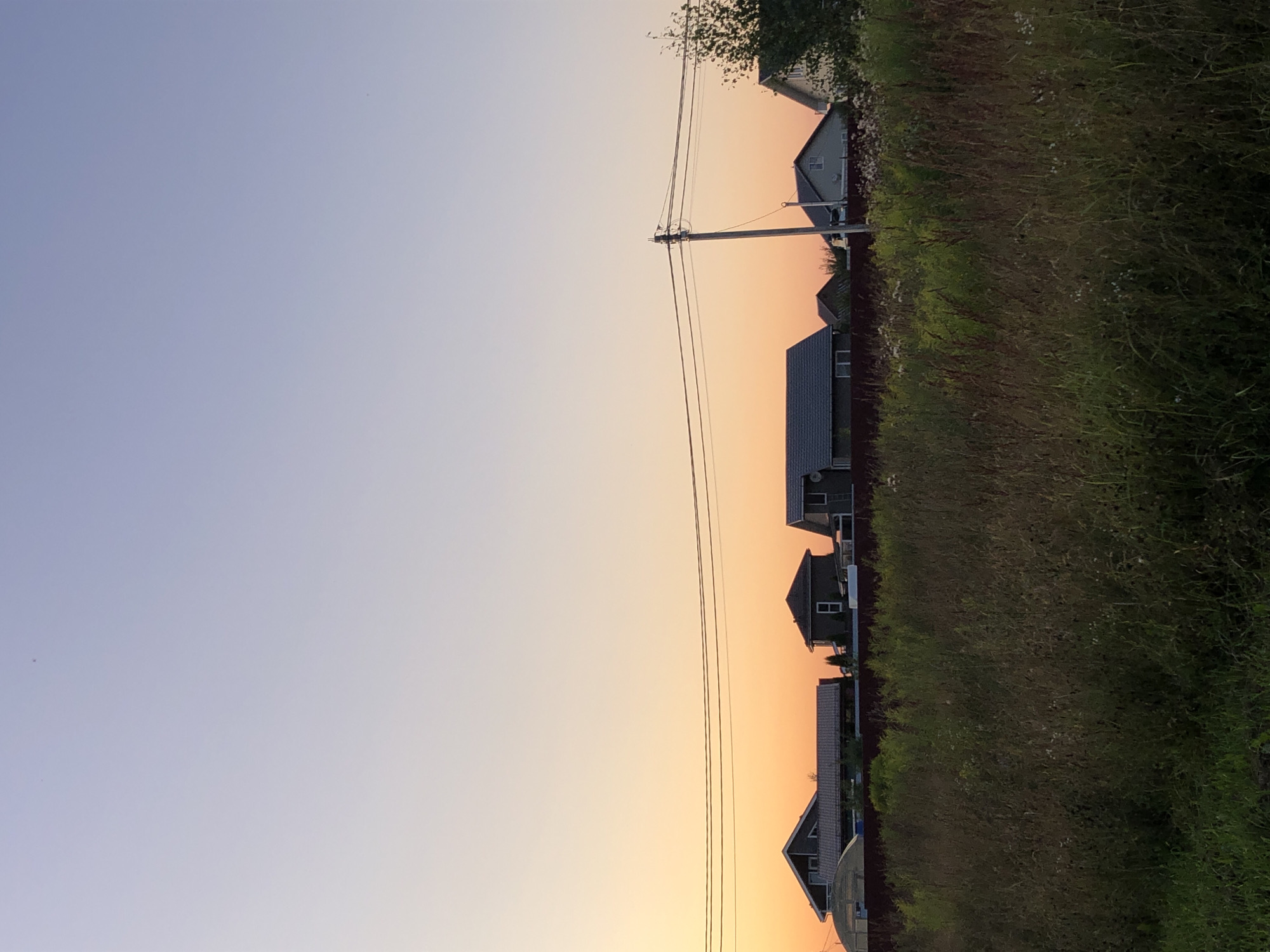 The image depicts a rural scene at sunset in Krasnaya Presnya SNT, Russia. A line of houses with dark roofs are visible in the middle ground, separated from the foreground by a dark red fence. The houses appear to be modern, with several featuring visible windows and some with attached greenhouses. A utility pole with multiple electrical wires stretches across the frame, positioned slightly to the right of center. The foreground is dominated by tall, uncultivated grass and weeds, with some smaller white flowers interspersed. The sky transitions from a pale blue at the top to a vibrant orange and yellow hue near the horizon, indicating the setting sun. There are no people or animals visible in the image.