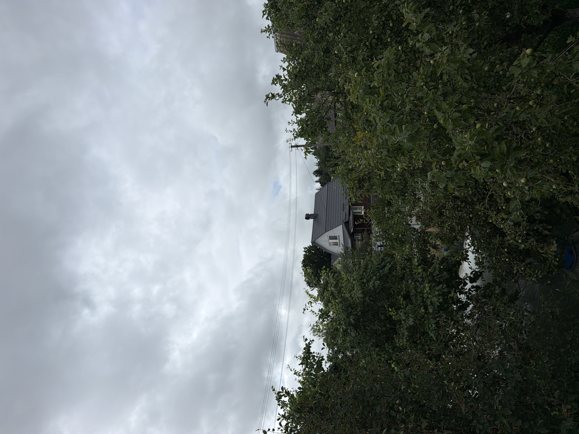A cloudy sky looms over a residential area in Папярнянскі сельскі Савет, Belarus. In the middle ground, several houses with dark roofs are visible, partially obscured by the dense foliage of trees. Power lines stretch across the frame above the houses. The foreground is dominated by lush green trees, some laden with small, green fruits. The overall impression is one of a rural or suburban setting under overcast weather.