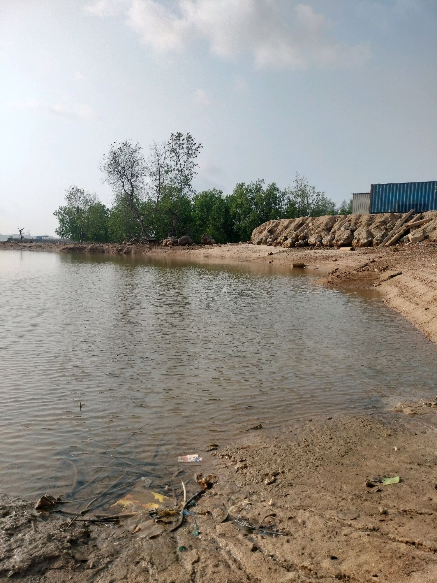 The image depicts a body of water, likely a pond or a shallow inlet, with a sandy embankment. The water is murky and shows signs of pollution, with debris such as plastic bags and branches visible along the shoreline and in the water. The embankment is composed of sand and rocks, with some vegetation growing along its upper edge, including trees and shrubs. In the background, there are shipping containers and a construction or industrial area, suggesting an urban or peri-urban setting. The sky is overcast with clouds. This scene is consistent with coastal or reclaimed land areas in Batam, Indonesia, which often feature similar environmental conditions due to industrial activity and development.